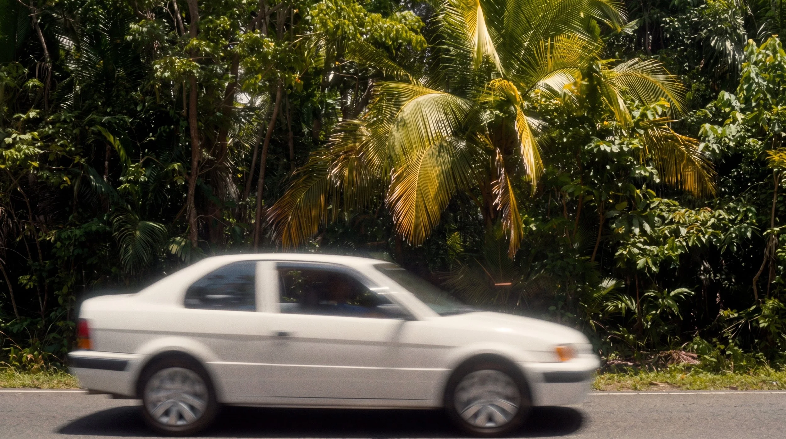 White 1990s sedan driving along a tropical road lined with dense palm trees.