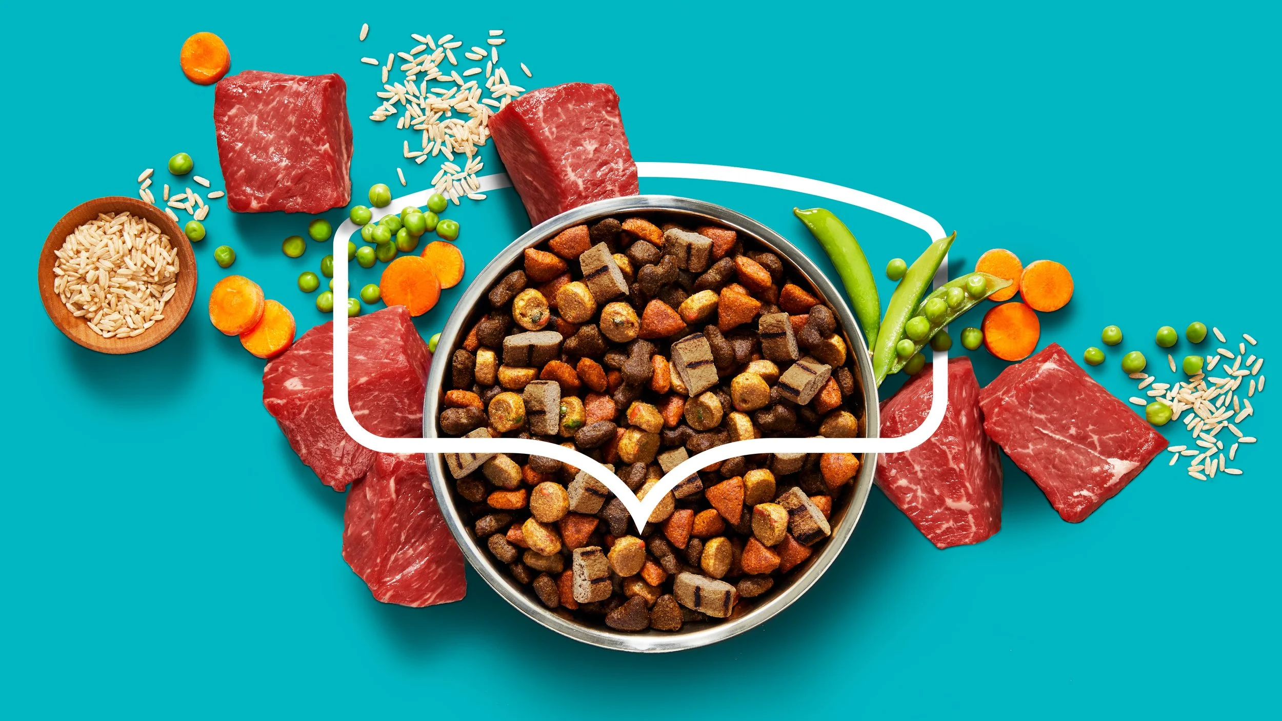 Nutrish-BA-Portfolio-V2-FLAT-20.jpg