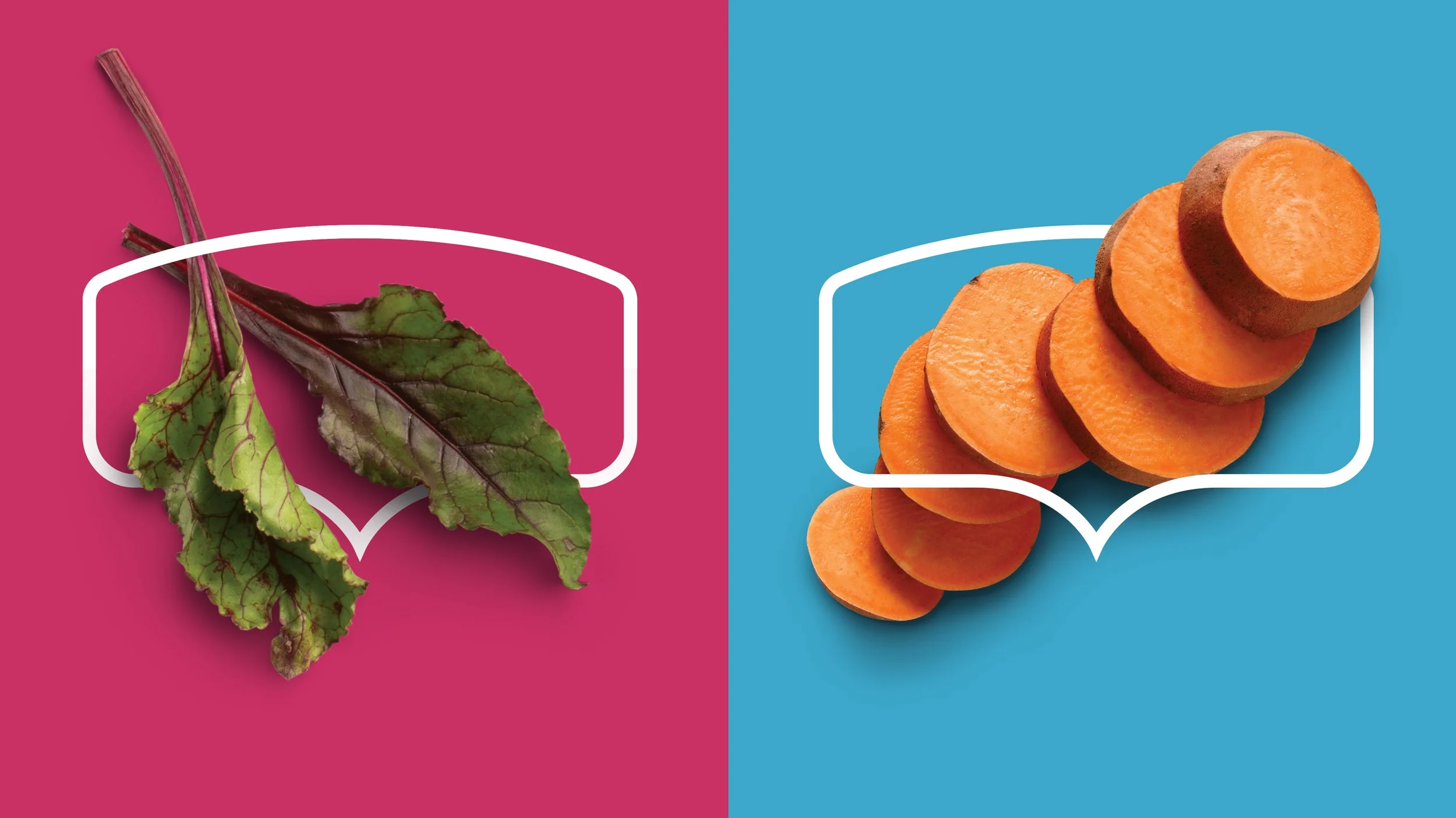 Nutrish-BA-Portfolio-V2-FLAT-16.jpg