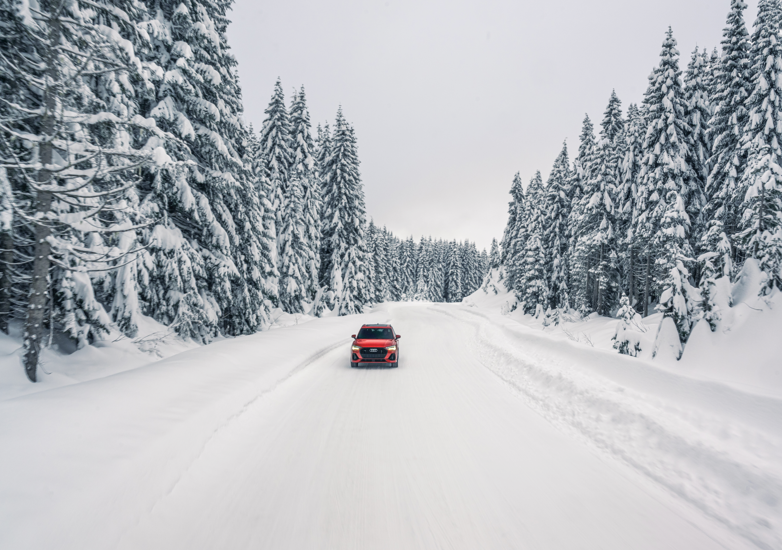 Frame 46.png