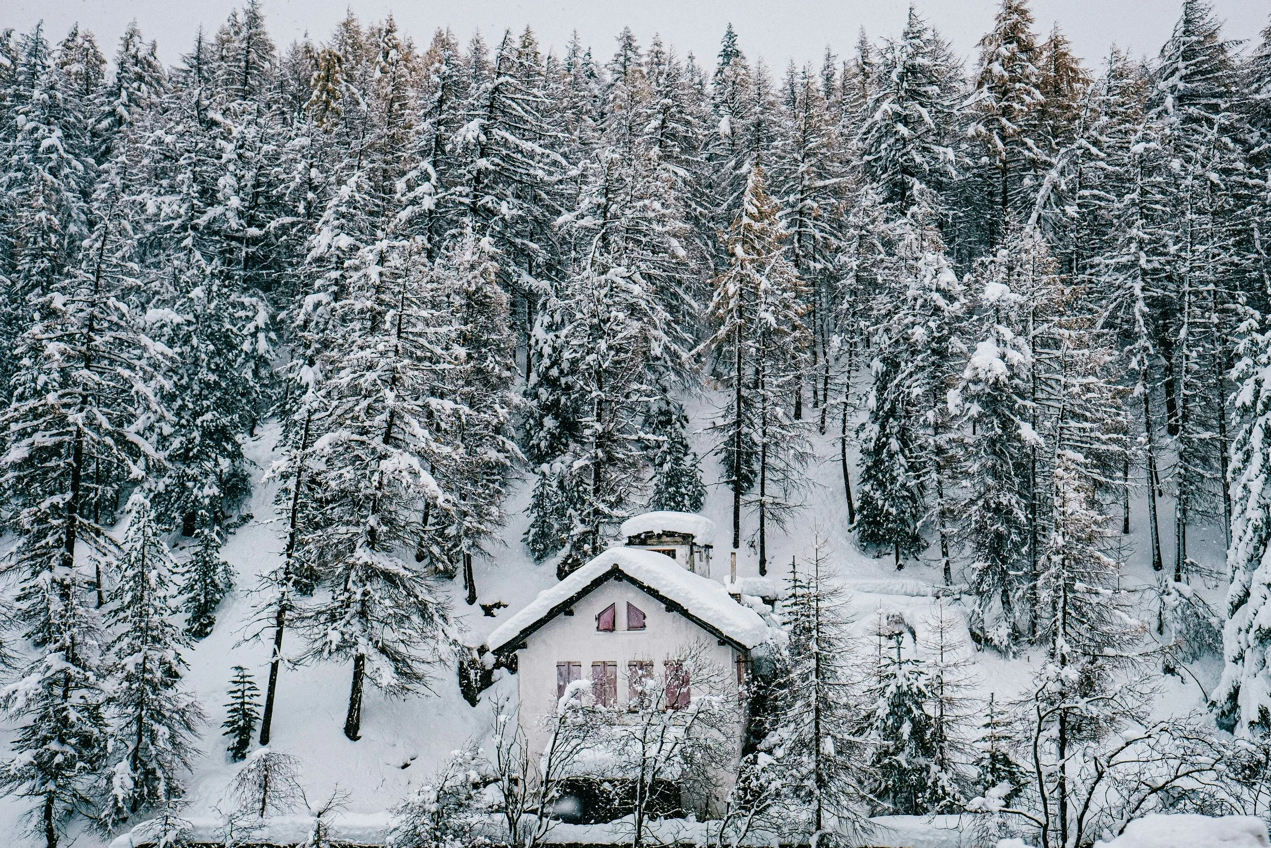 Snow-covered trees with a house and a mountain landscape in the background.