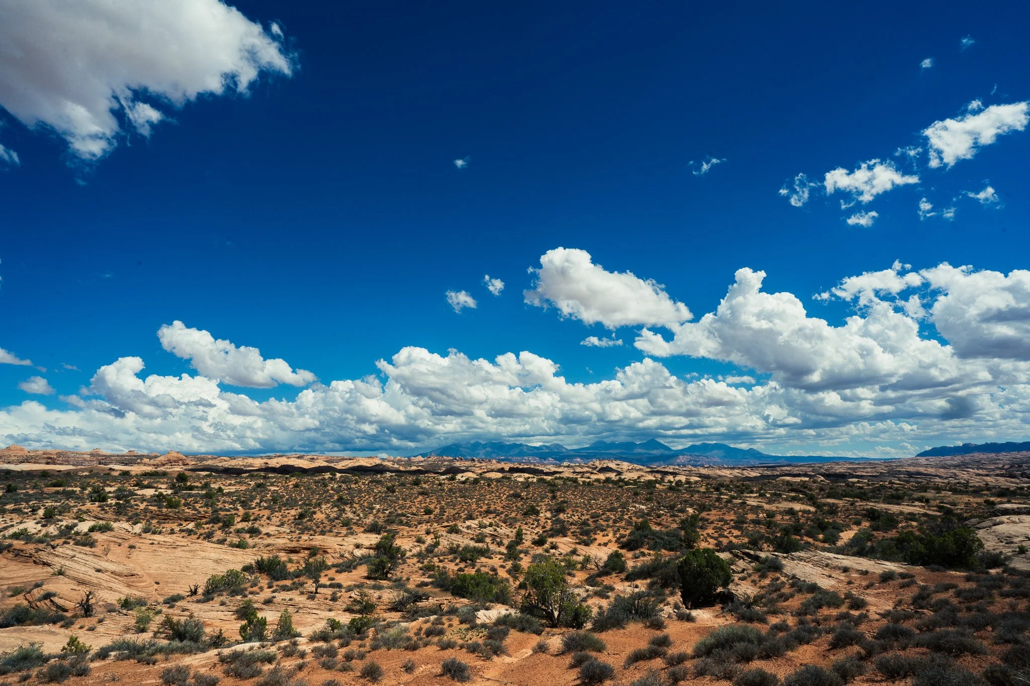 A vast desert landscape with sparse vegetation under a wide blue sky filled with white clouds.