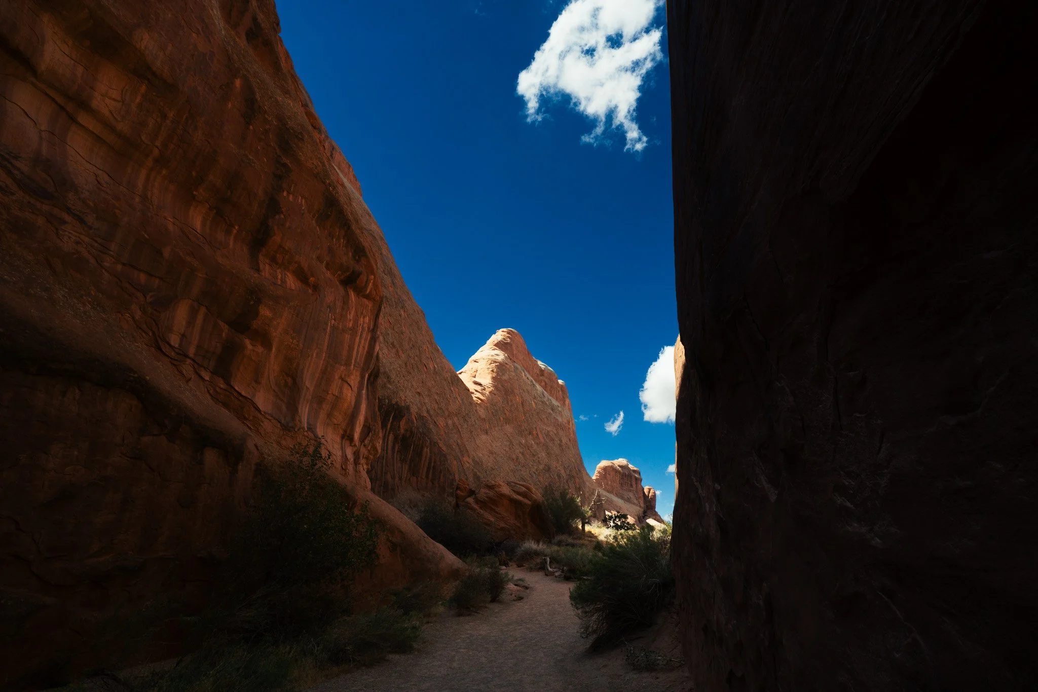 A narrow canyon with tall, reddish-brown rock walls on either side, a bright blue sky with white clouds above, and a dirt path leading through the canyon with some sparse vegetation.