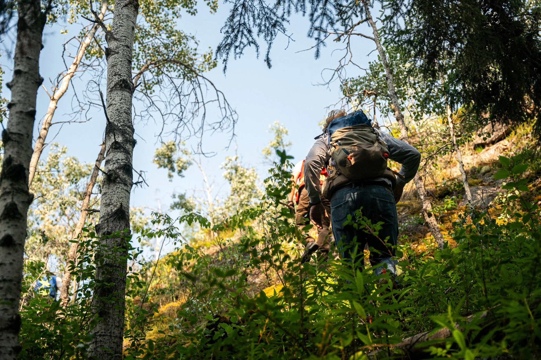 People hiking through a forested trail surrounded by trees and green foliage.