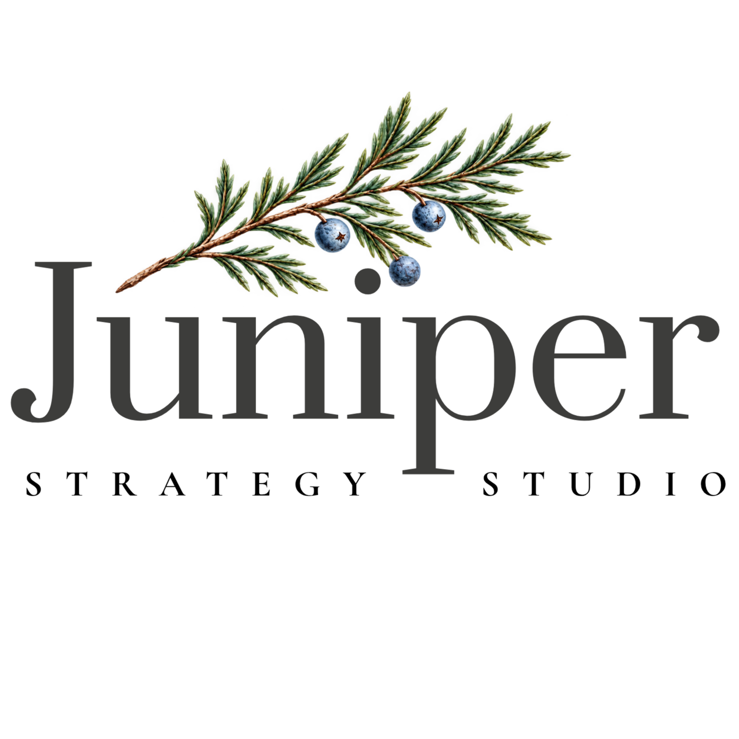Juniper Strategy Studio