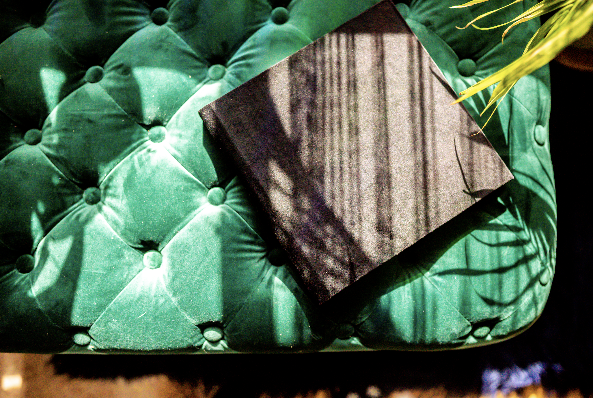 Black book on green tufted velvet surface with plant shadows