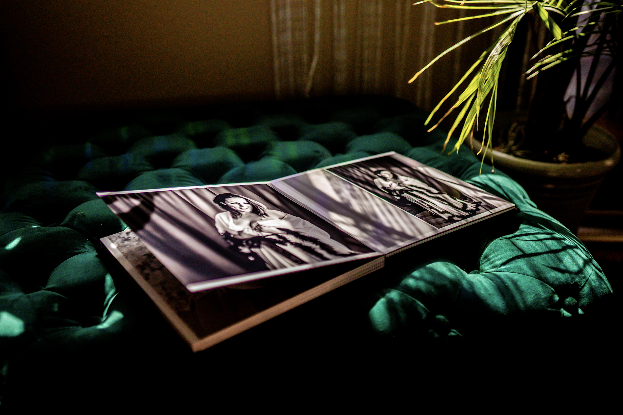 Open photo album on a green velvet ottoman next to a potted plant, showing black and white portraits.