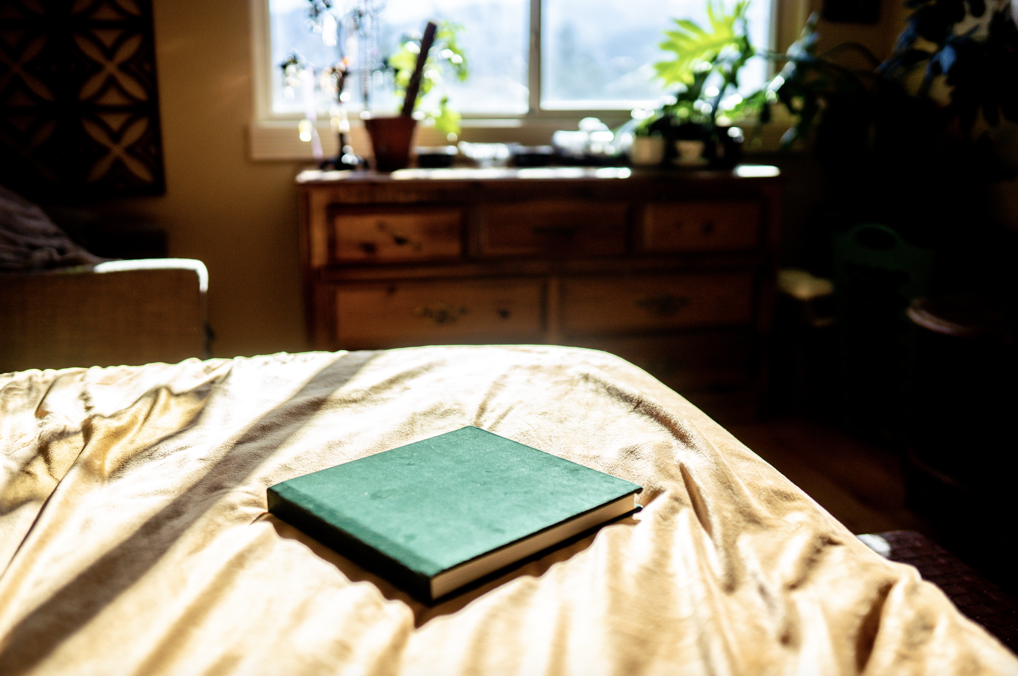 Green book on a sunlit bed with dresser and plants in the background