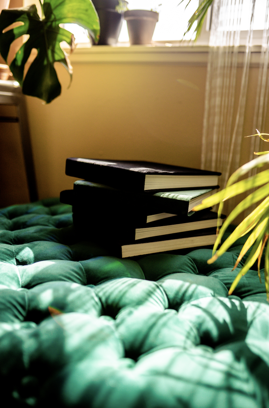 Stack of black hardcover books on green plush chair near window with potted plants.