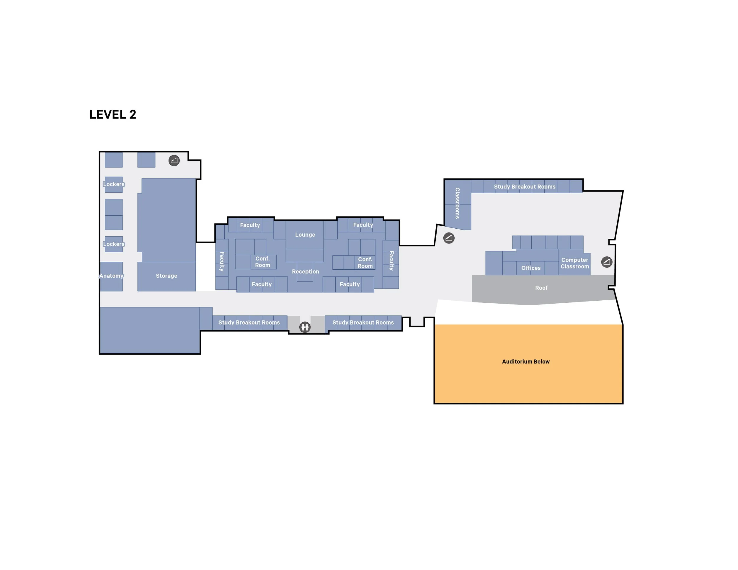 Floor plan of a building showing various rooms including lockers, anatomy, storage, faculty offices, lounge, conference rooms, study breakout rooms, classrooms, computer classroom, and an auditorium below.
