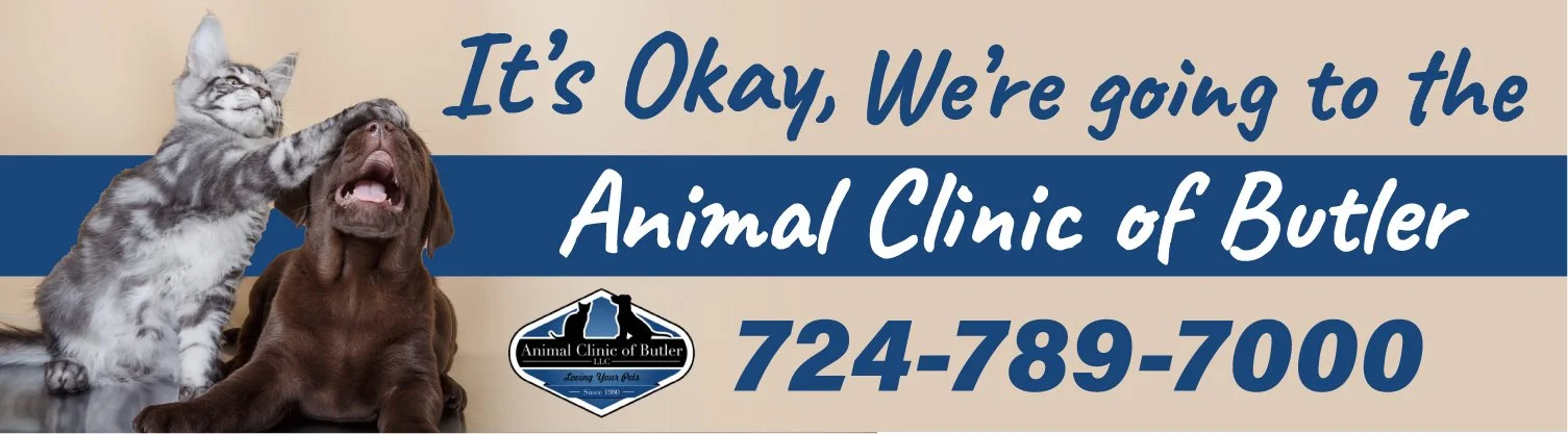 Its Okay-Animal Clinic of Butler-Bulletin-May22.jpg