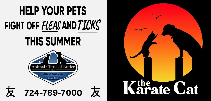 Karate Cat-Animal Clinic of Butler-Poster-May22.jpg
