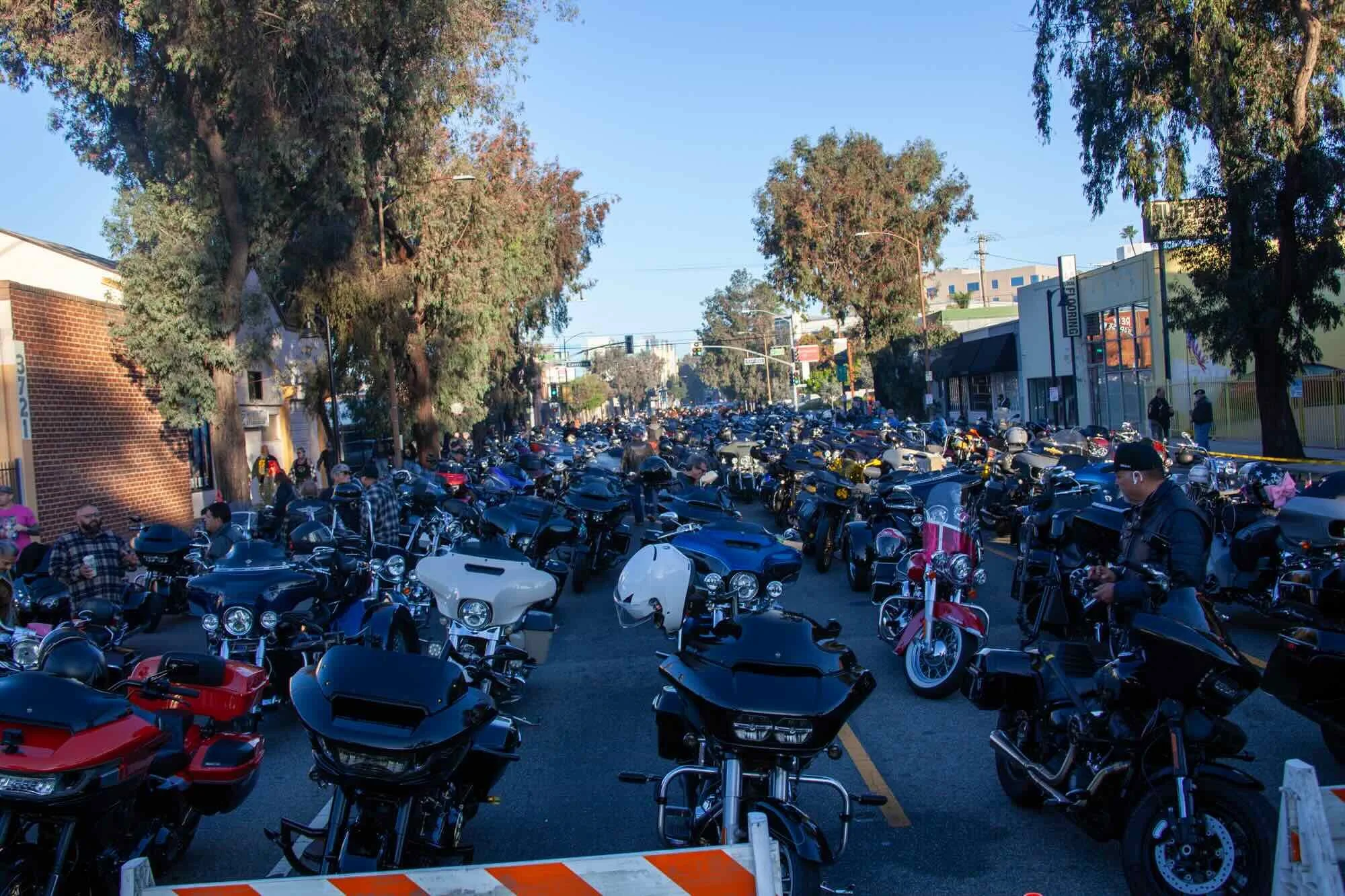 A crowded city street filled with parked motorcycles and scooters, with some people walking on the sidewalk and tall trees lining the street under a clear blue sky.