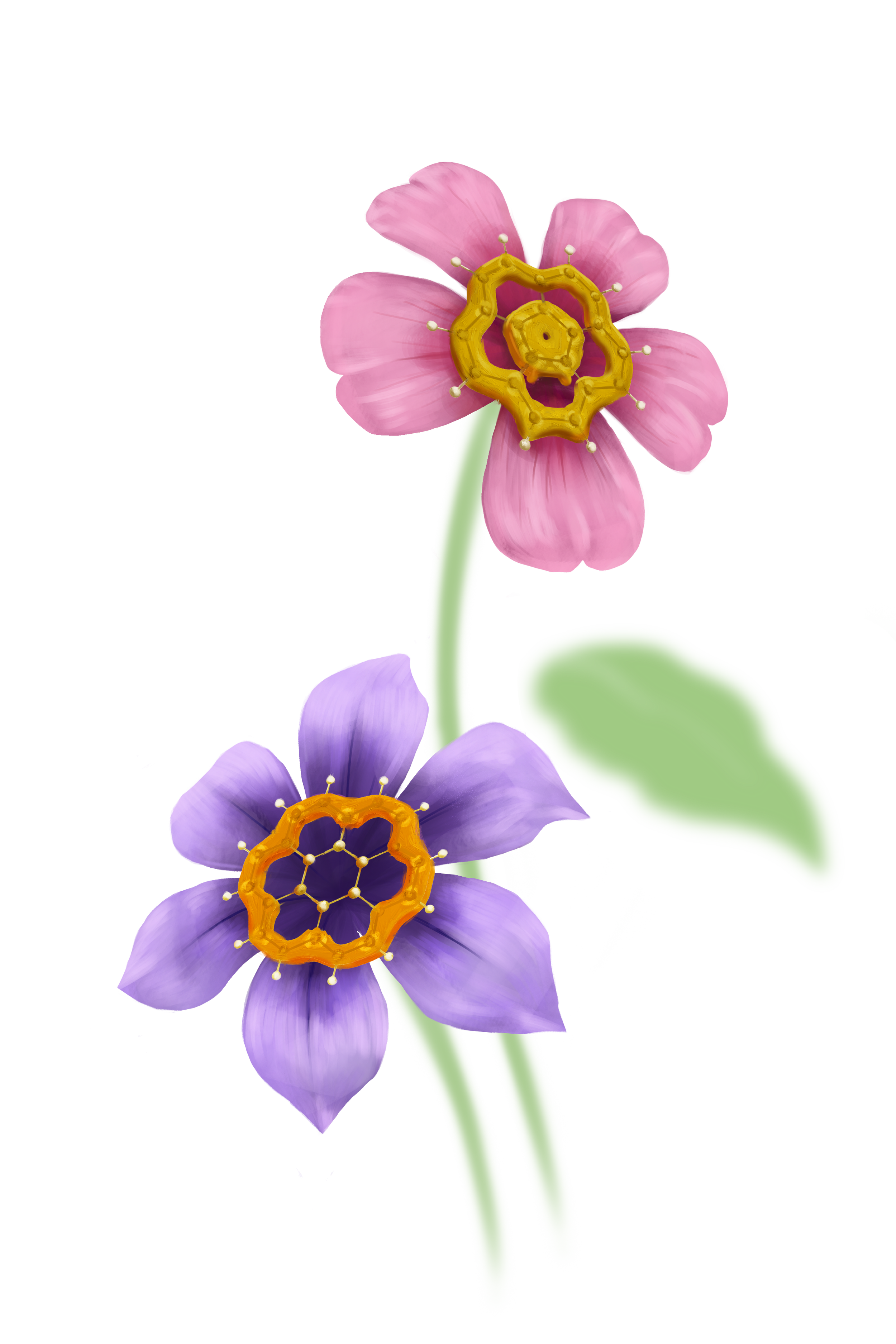 flower-chemicals-transparent.png