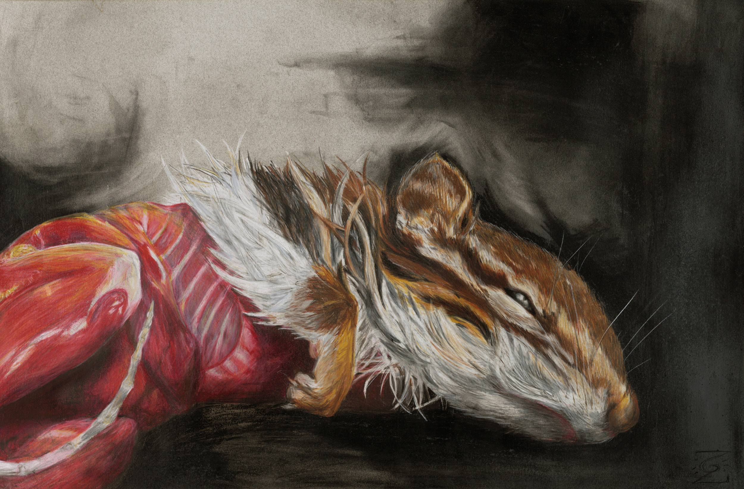 Chipmunk-edit.png