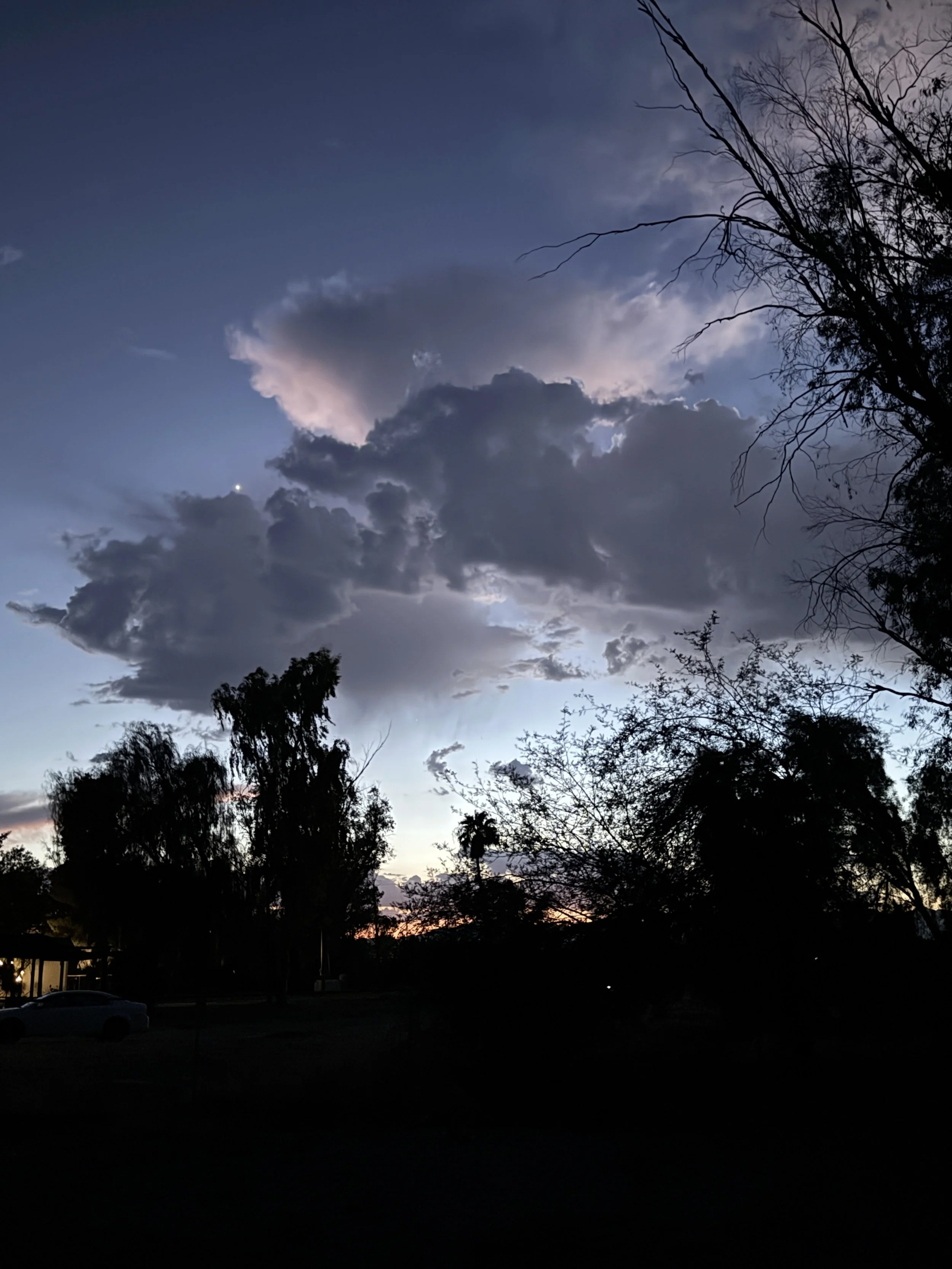 A sunset or early evening sky with dark clouds and a faint glow on the horizon, silhouetted trees and parked cars in the foreground.