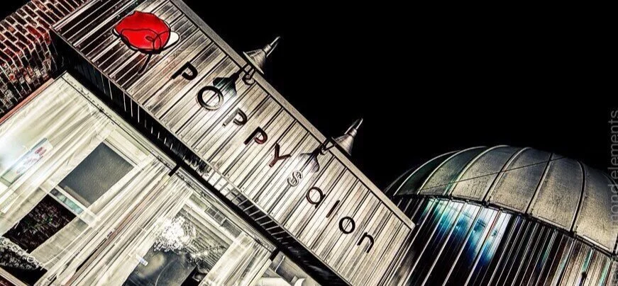 Poppy Salon logo by Studio Prow