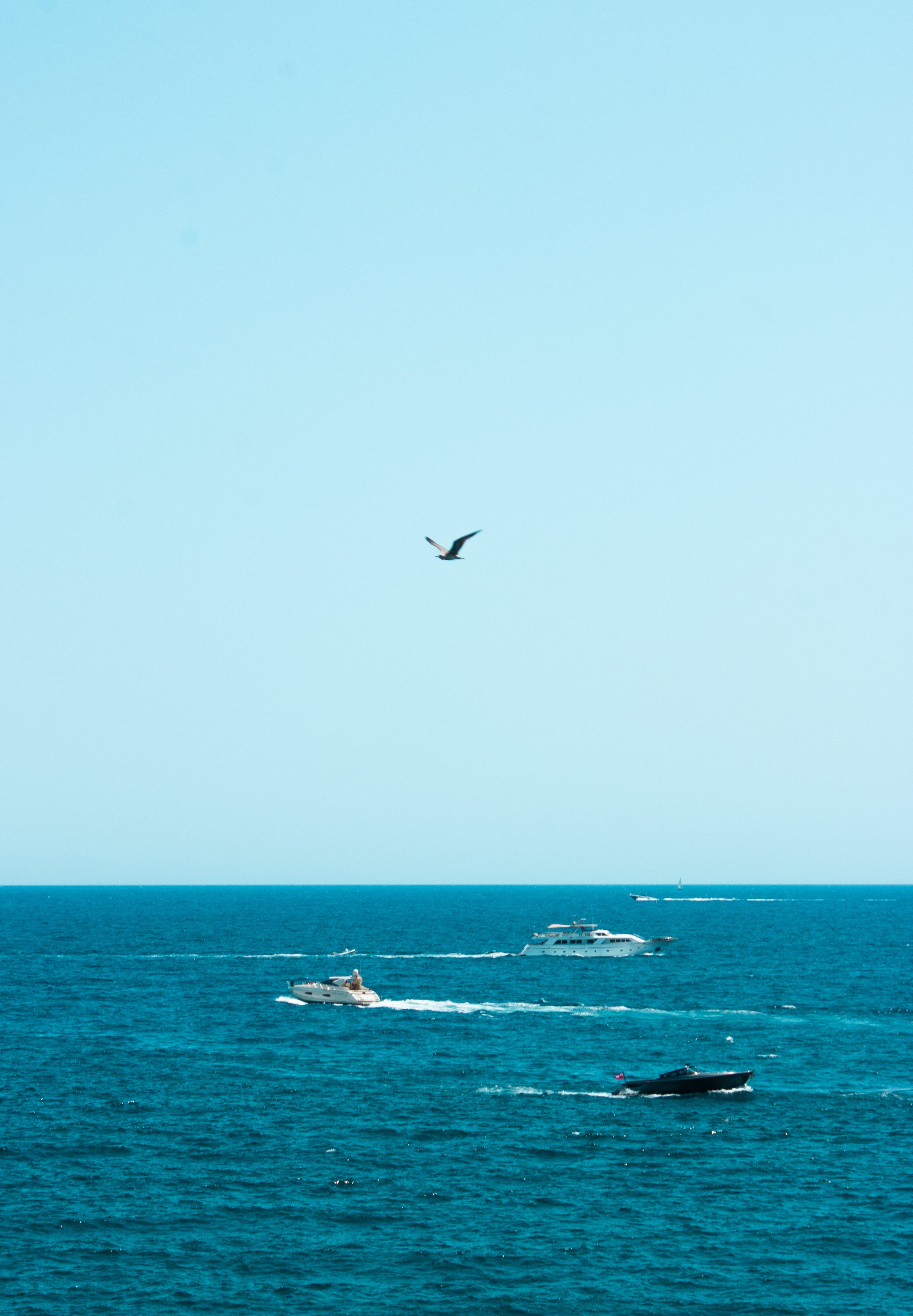 IMG_3282.jpg