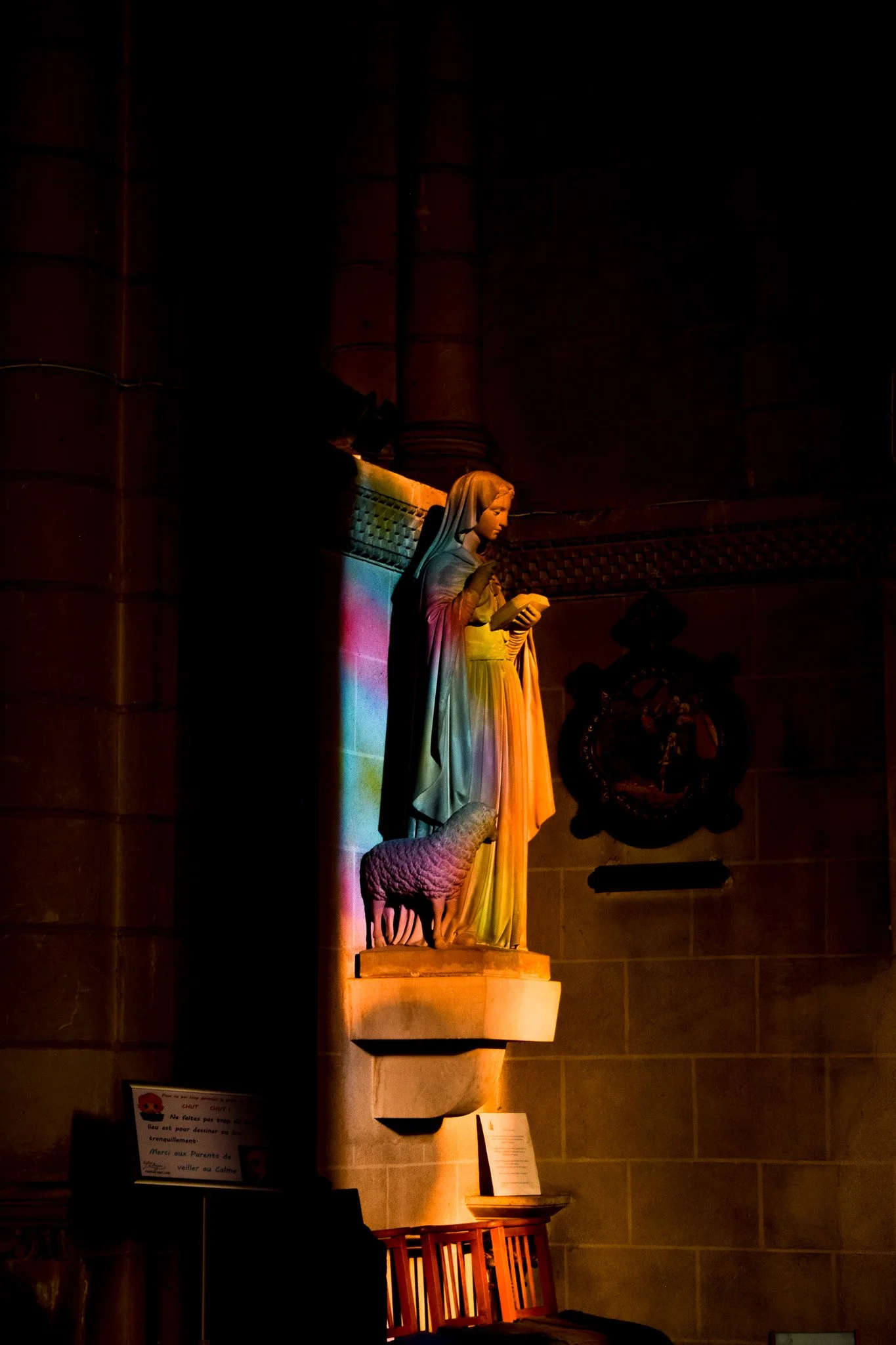 DSC_0421.jpg
