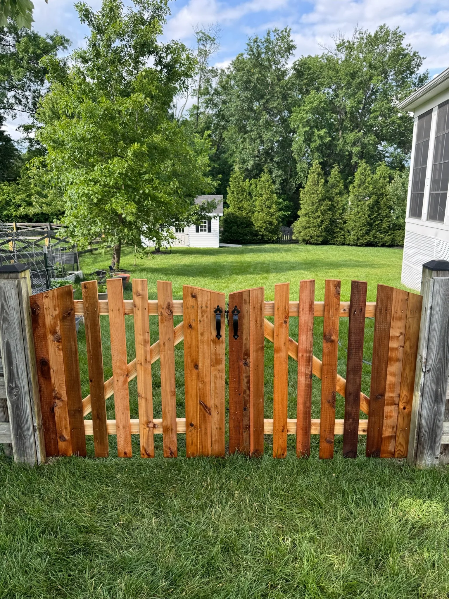 View of a backyard with a wooden gate, green grass, trees, and a small white shed in the background under a partly cloudy sky.