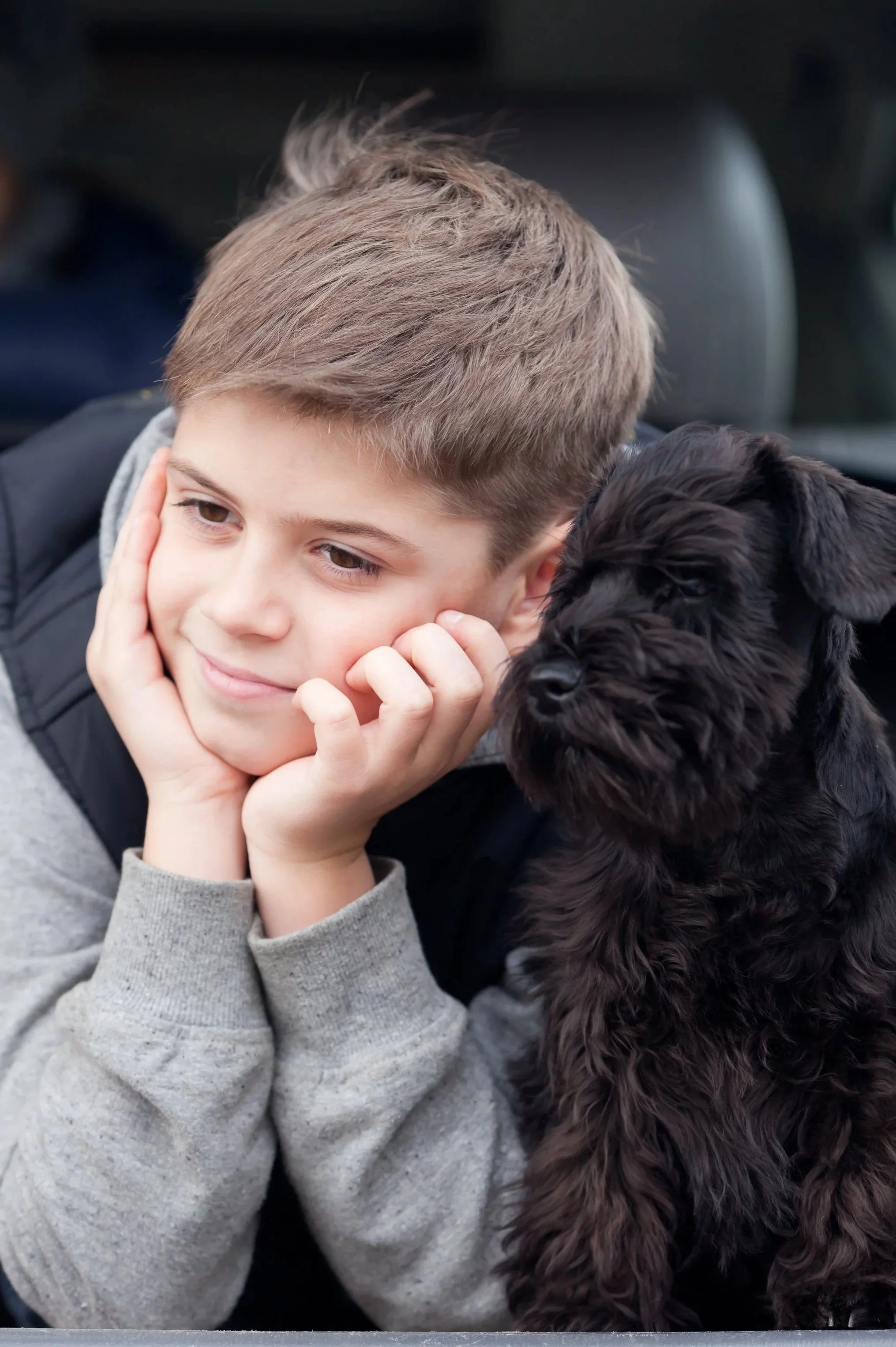 A young boy rests his face in his hands and looks into the distance with a black miniature schnauzer puppy
