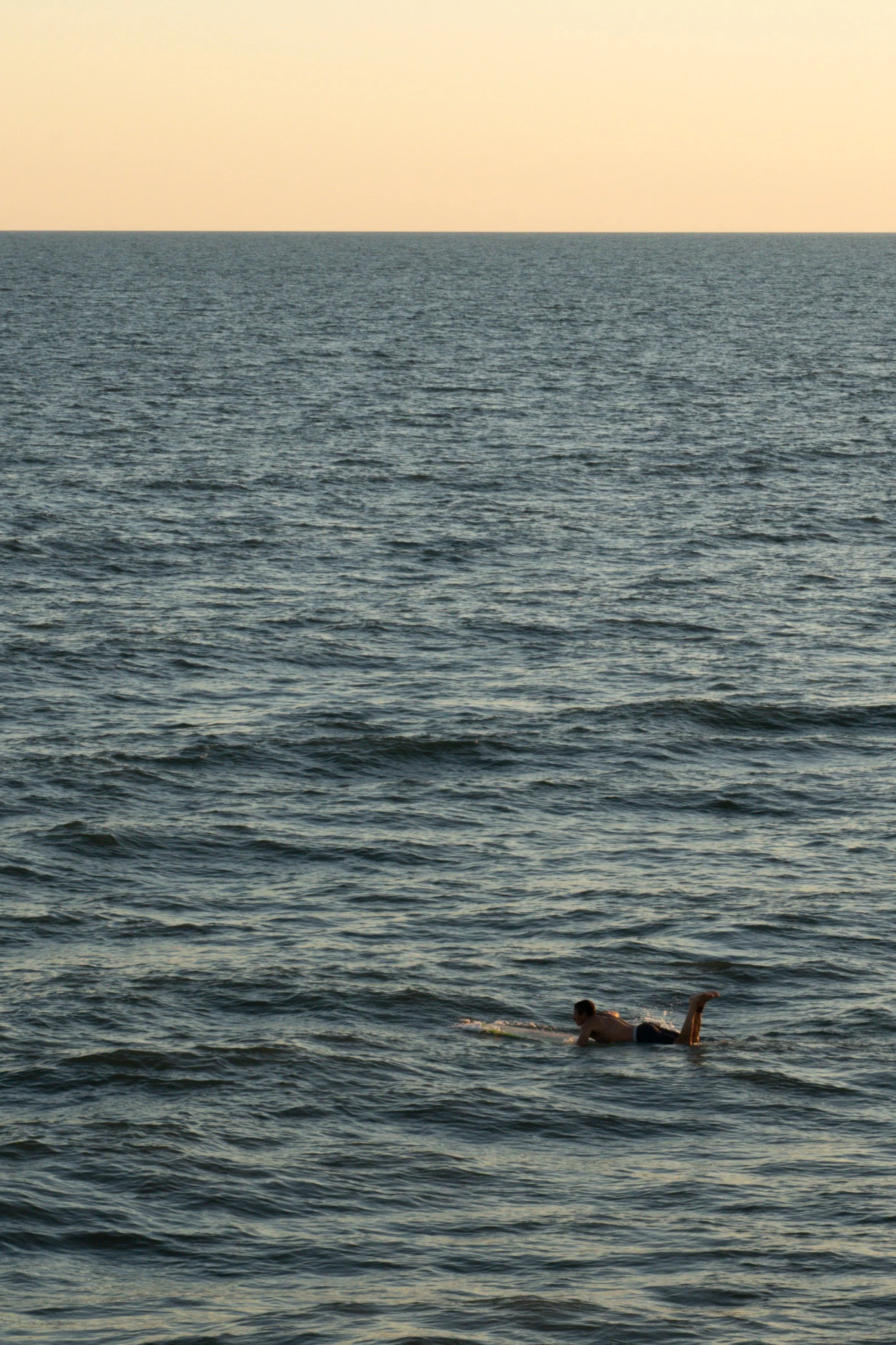 DSC00953.png