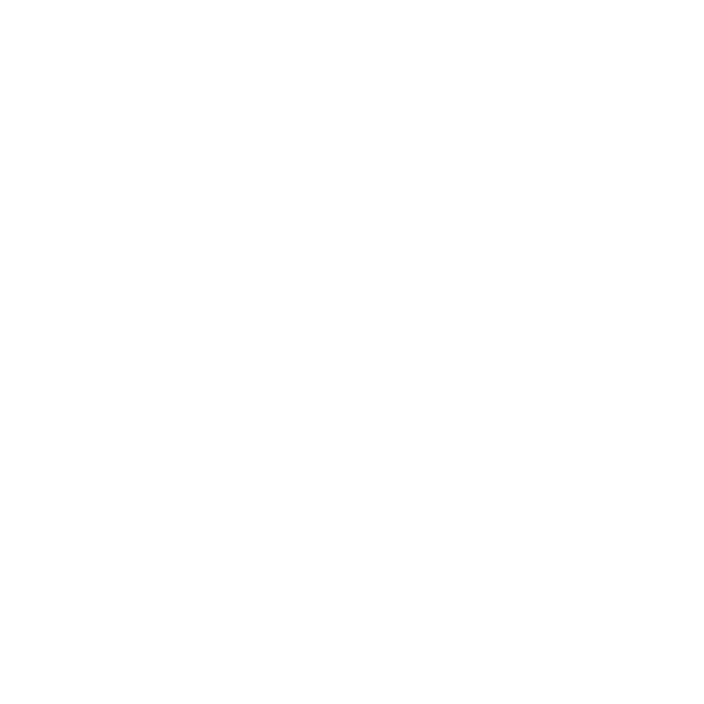 Money Raises Icon