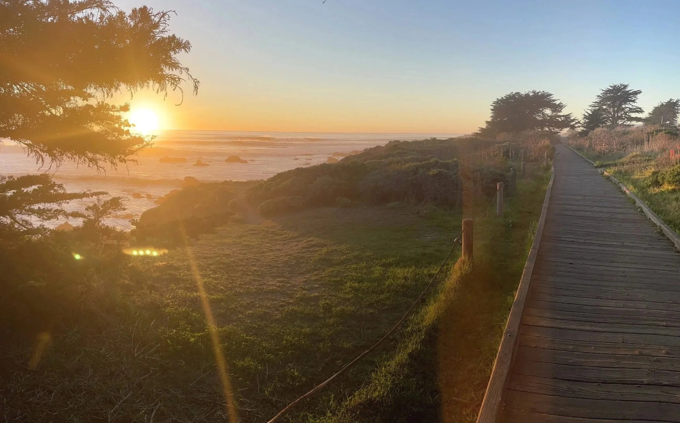 Coastal landscape overlooking the ocean