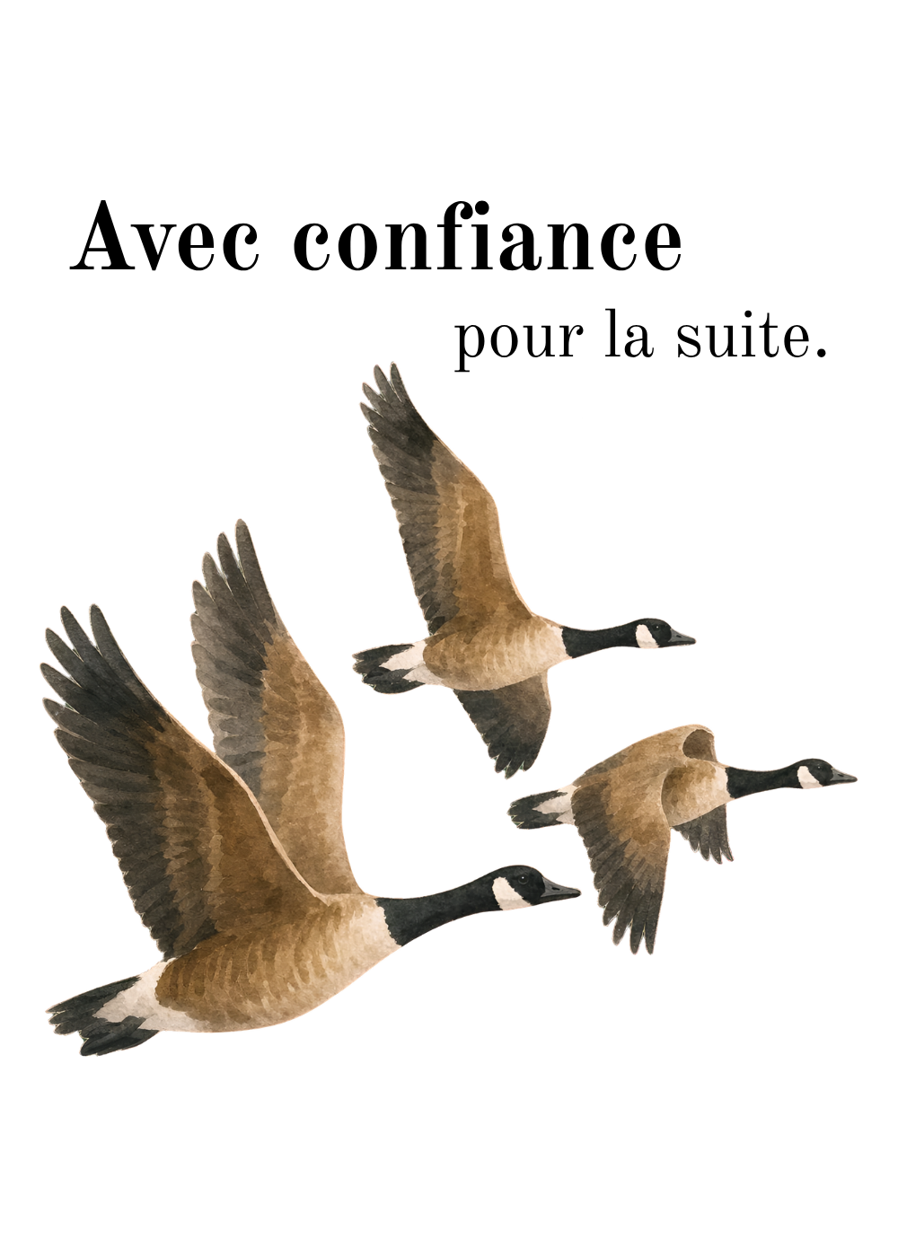 P-N-5V_couverture.png