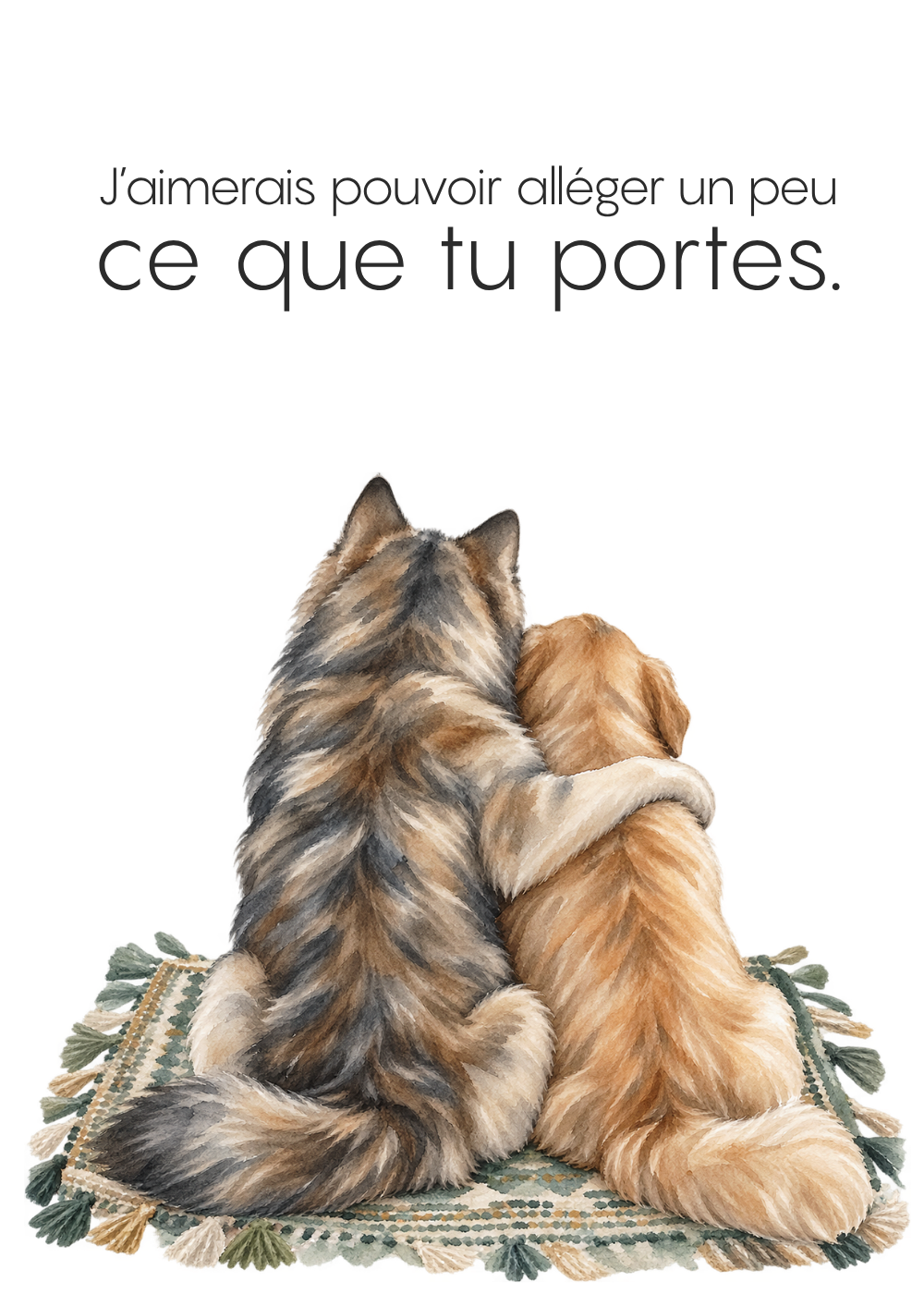 P-N-3_couverture.png