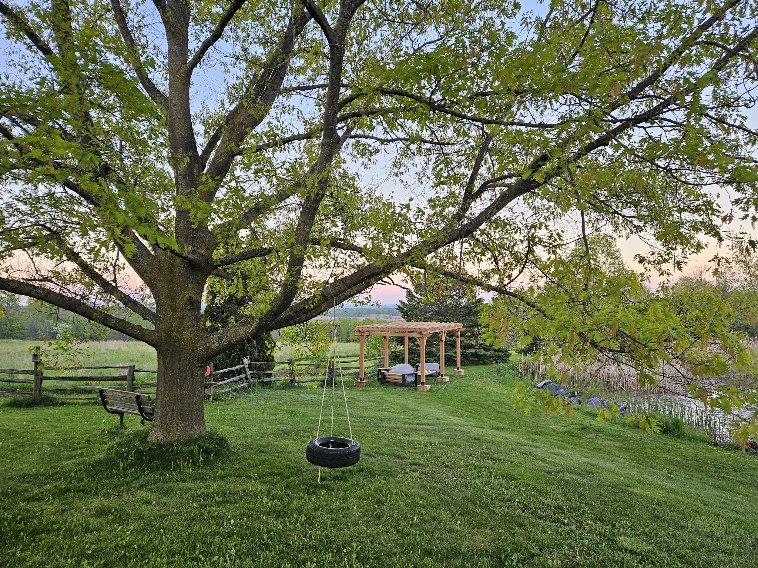 A backyard scene with a large tree, a tire swing hanging from a branch, a wooden gazebo, a bench, and a pond in the background surrounded by green grass and trees, during sunset or dusk.