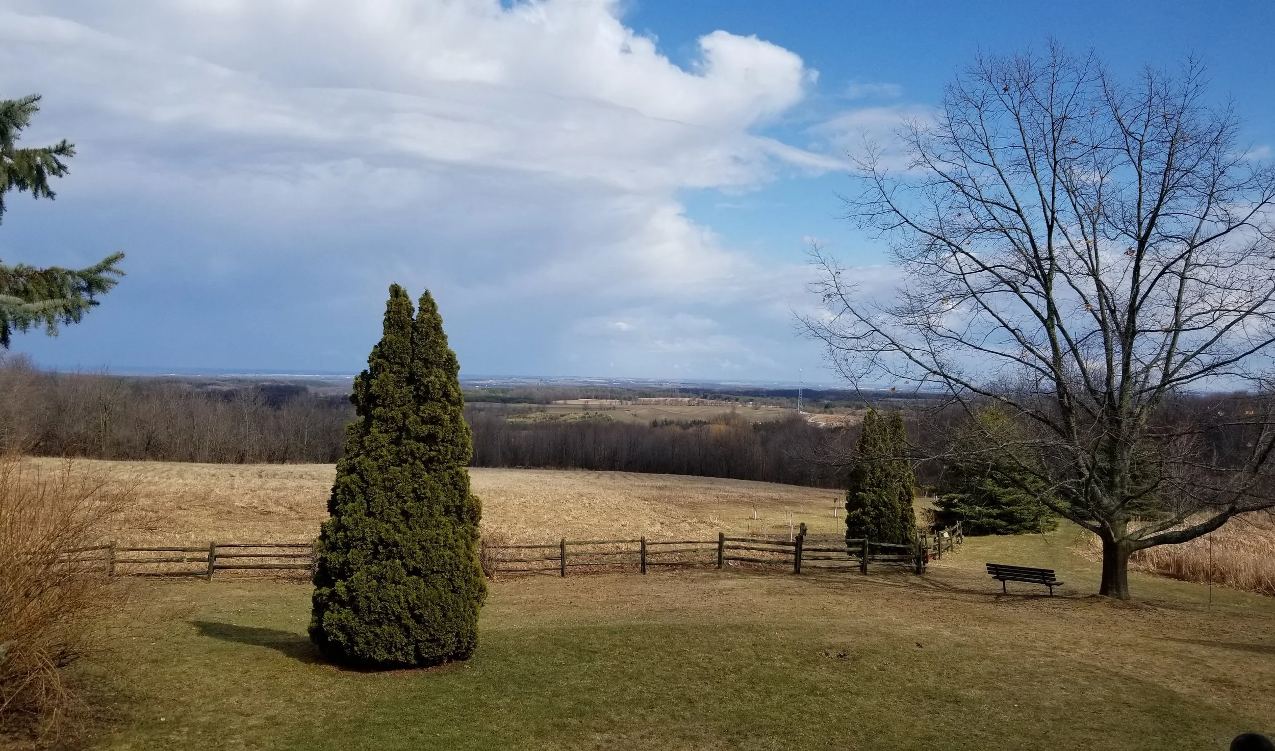 A peaceful rural landscape featuring a grassy foreground, a wooden fence, a bench, and several trees—some lush and others leafless—under a partly cloudy sky.