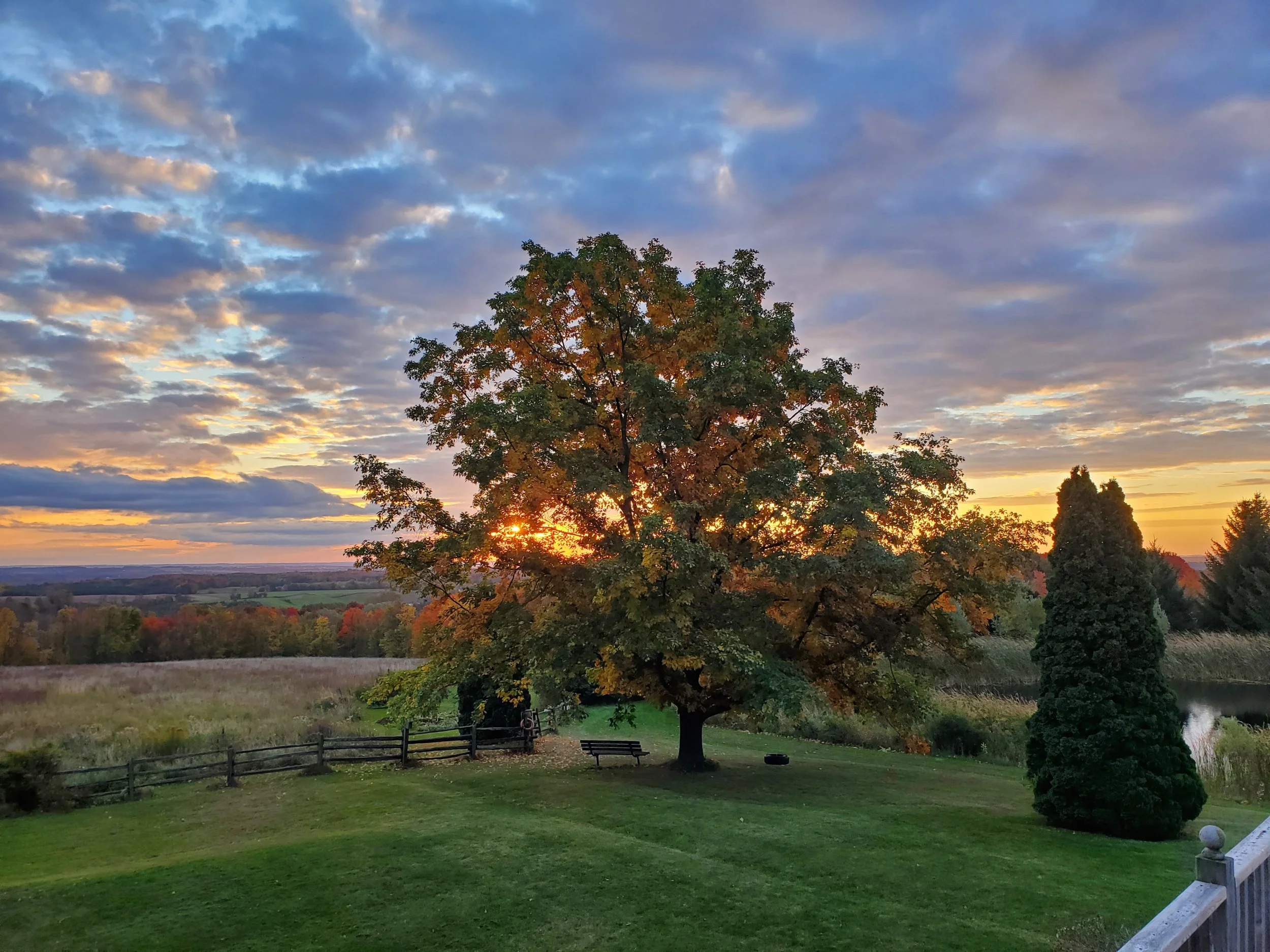 A peaceful landscape during sunset with a large tree in the foreground, surrounded by a green lawn, a wooden fence, benches, and the sky filled with clouds and a warm glow from the setting sun.