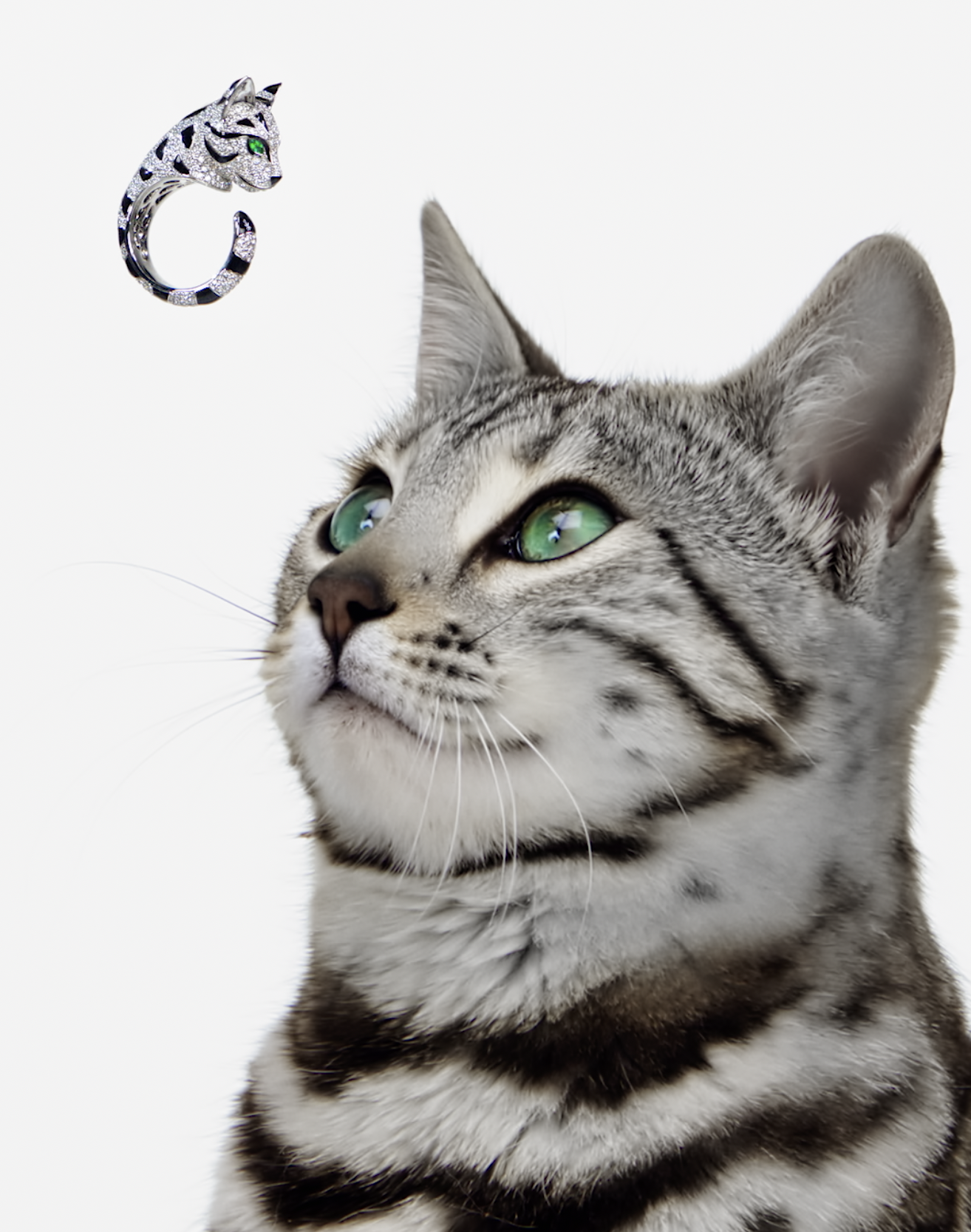 Boucheron