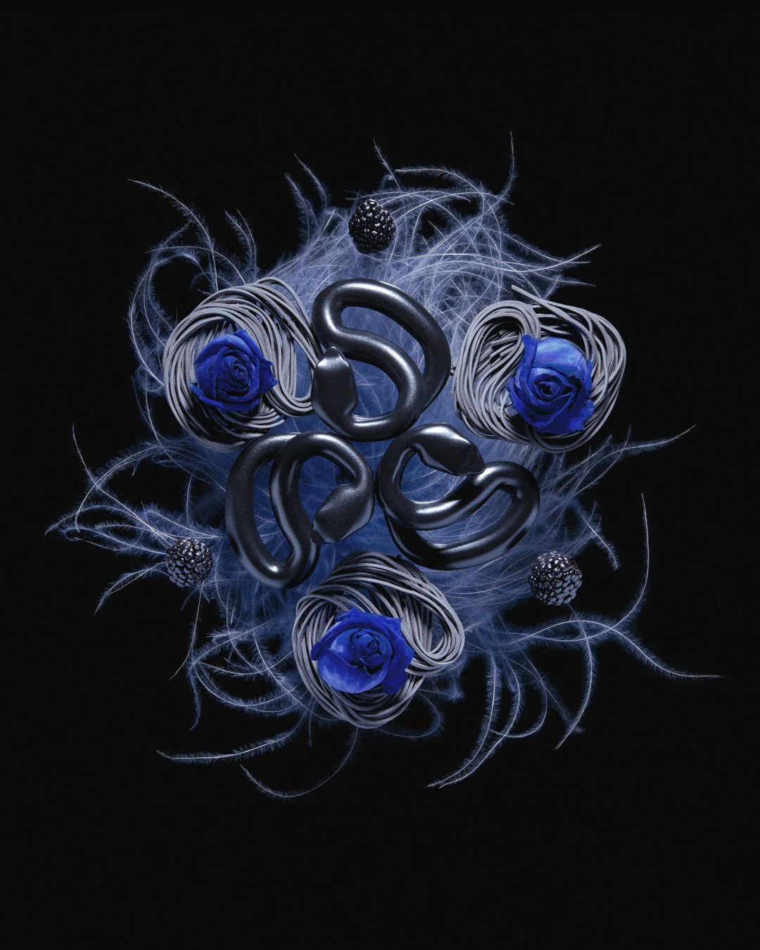 RR_2_VOID_1080.jpg