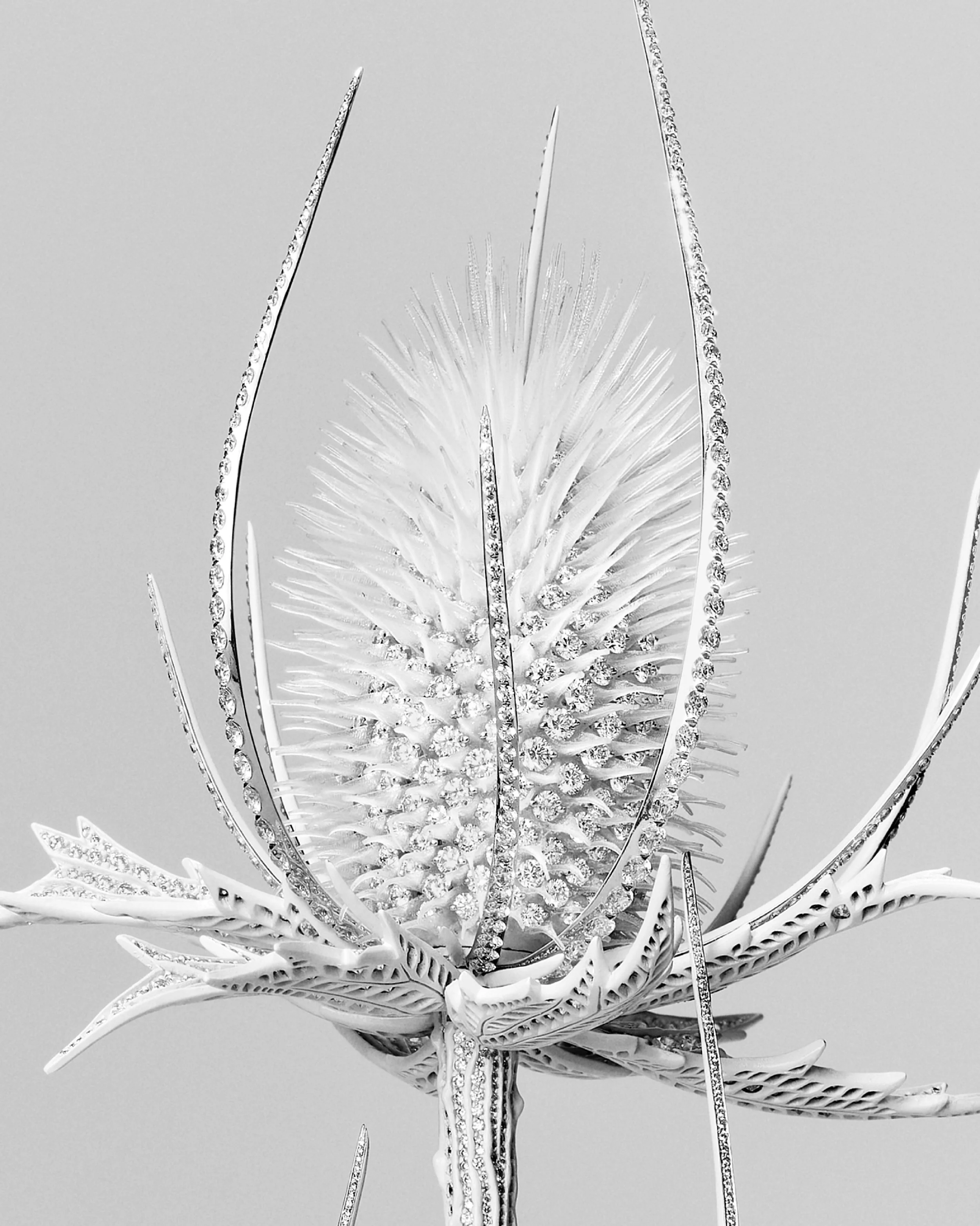 BOUCHERON_HJ25_STILL_CLOSE_UP_2_RVB_HD_4×5_BLIND.jpg