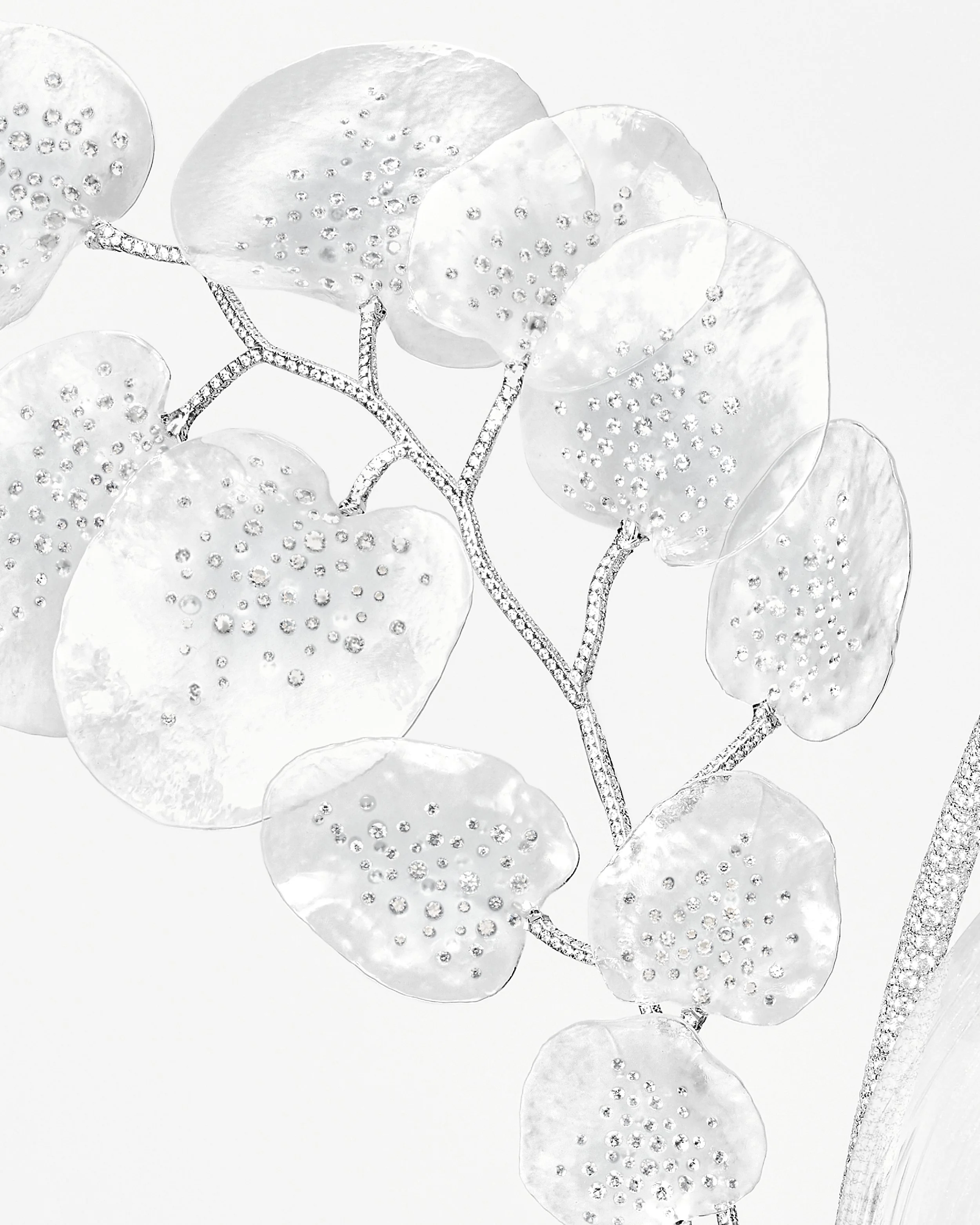 BOUCHERON_HJ25_STILL_CLOSE_UP_1_RVB_HD_4×5_BLIND.jpg