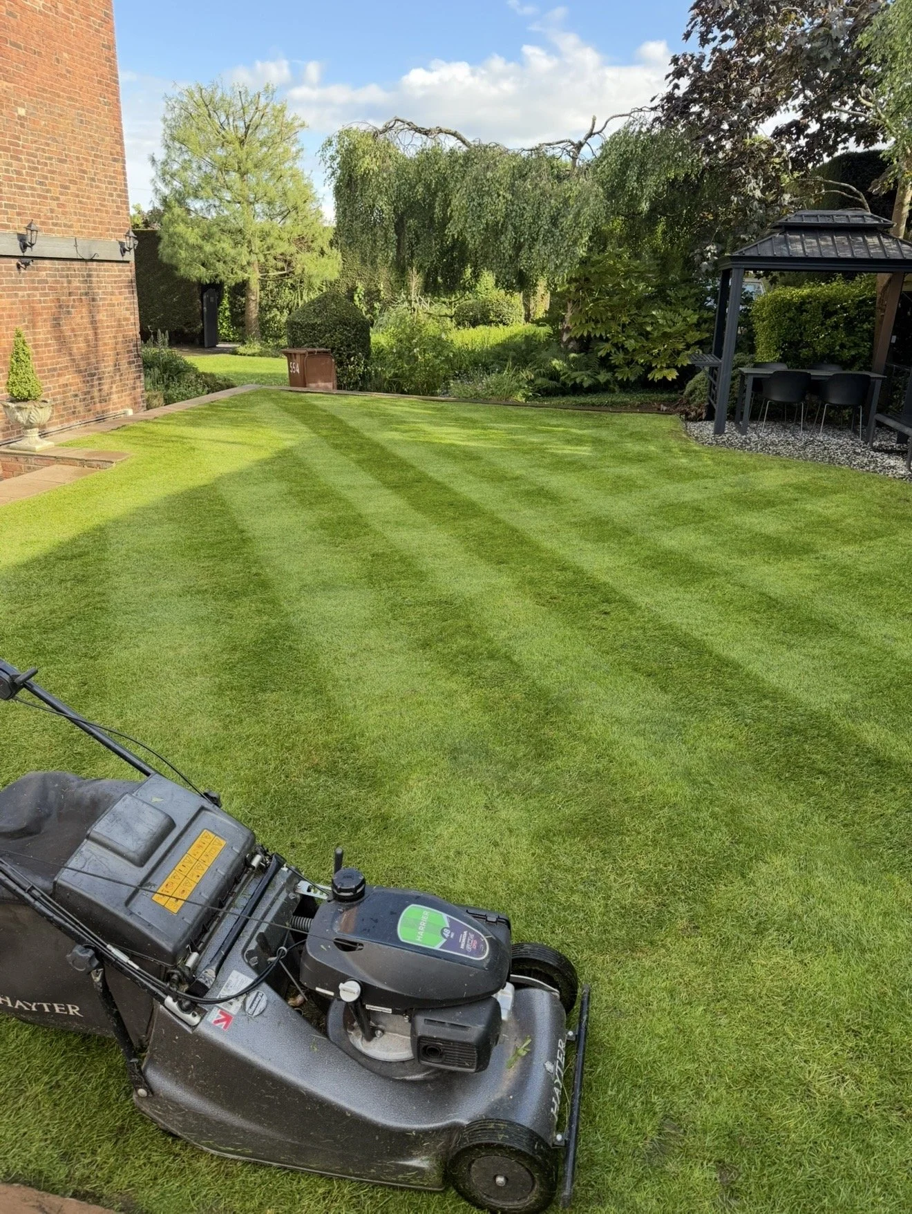 PROFESSIONAL GROUNDS MAINTENANCE