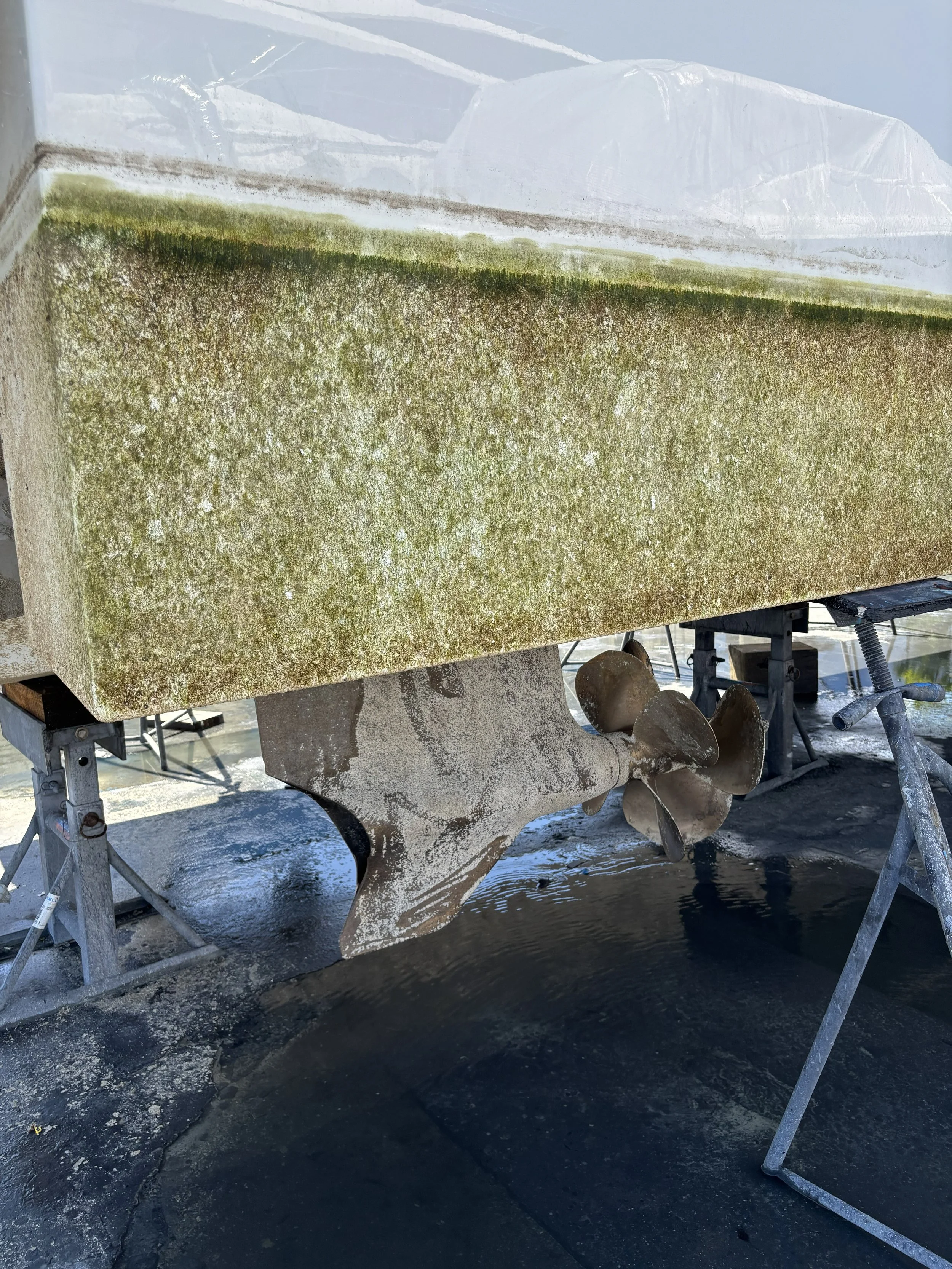 A boat hull covered in green algae and moss, with a visible propeller at the back, supported on metal stands in a workshop or boatyard.