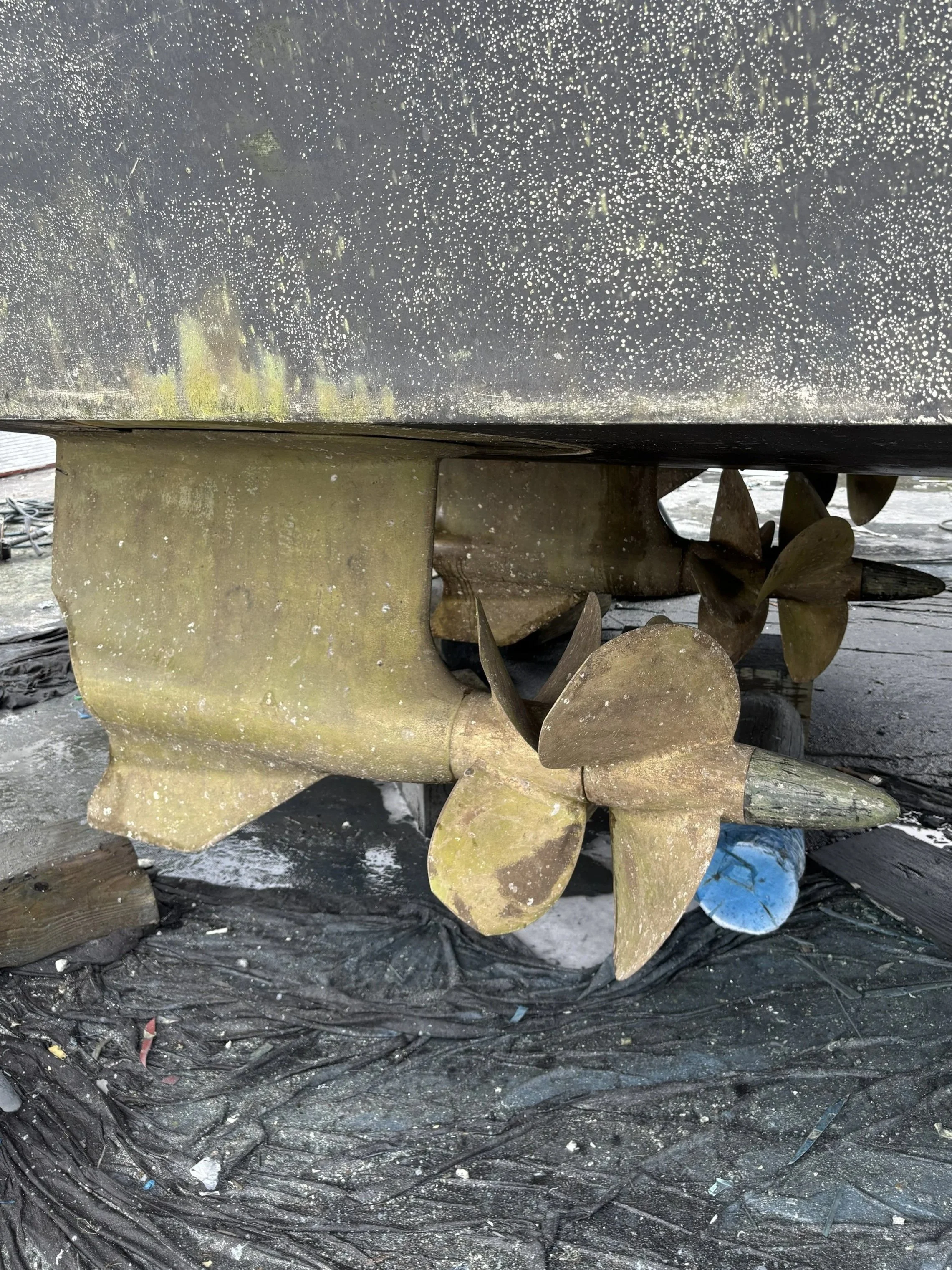 Close-up of a boat's propeller submerged in water, covered in algae and debris, with dark water and muddy ground visible around it.