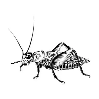 Cricket Clayworks