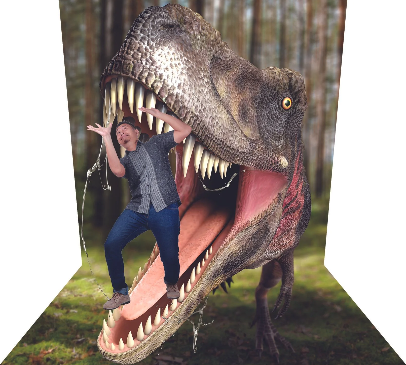 Wall-and-floor illusion: escape from the jaws of a T. rex (Japan)