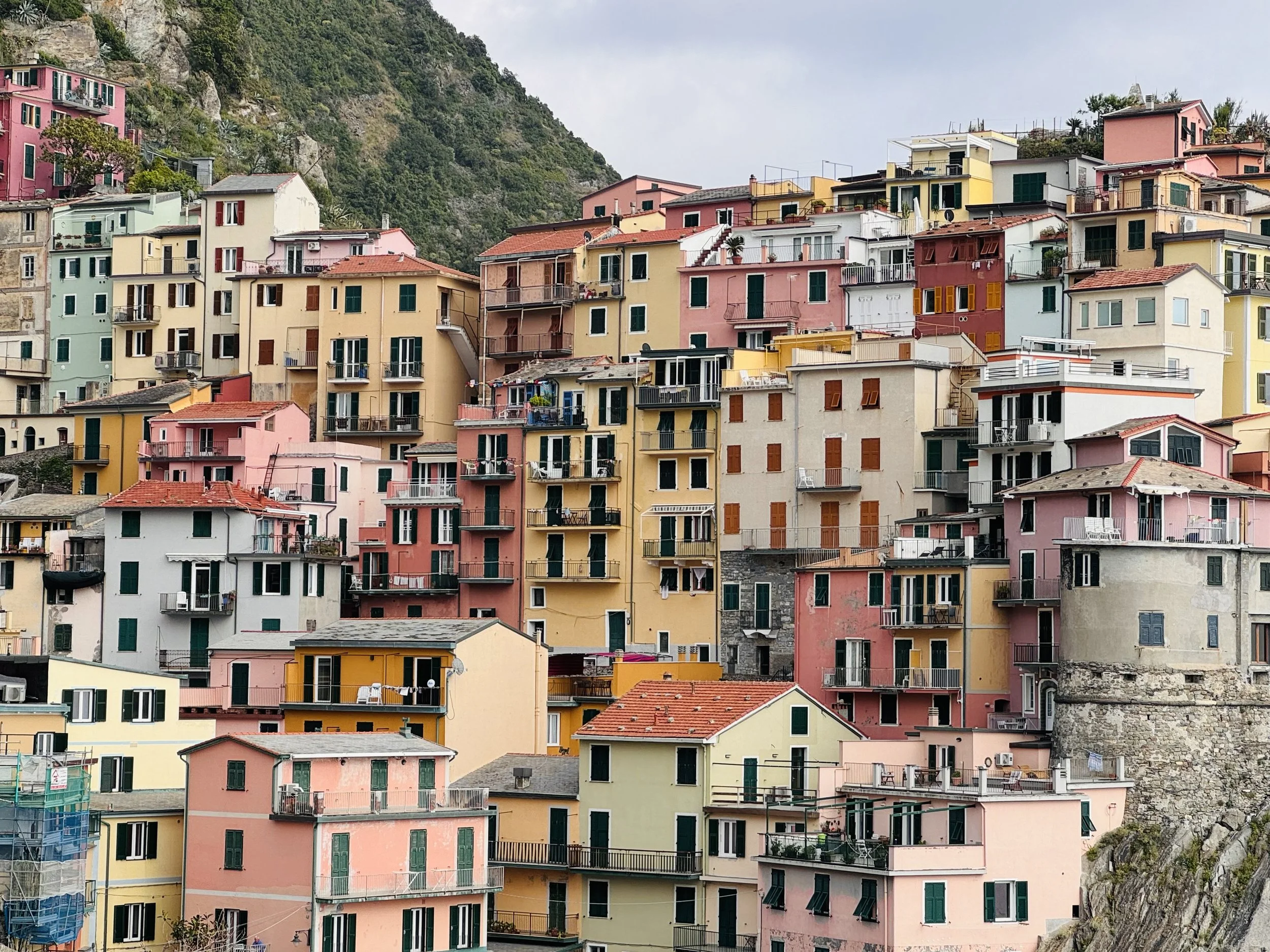 Colorful houses stacked on a hillside in a coastal town, with green mountain slope in the background.