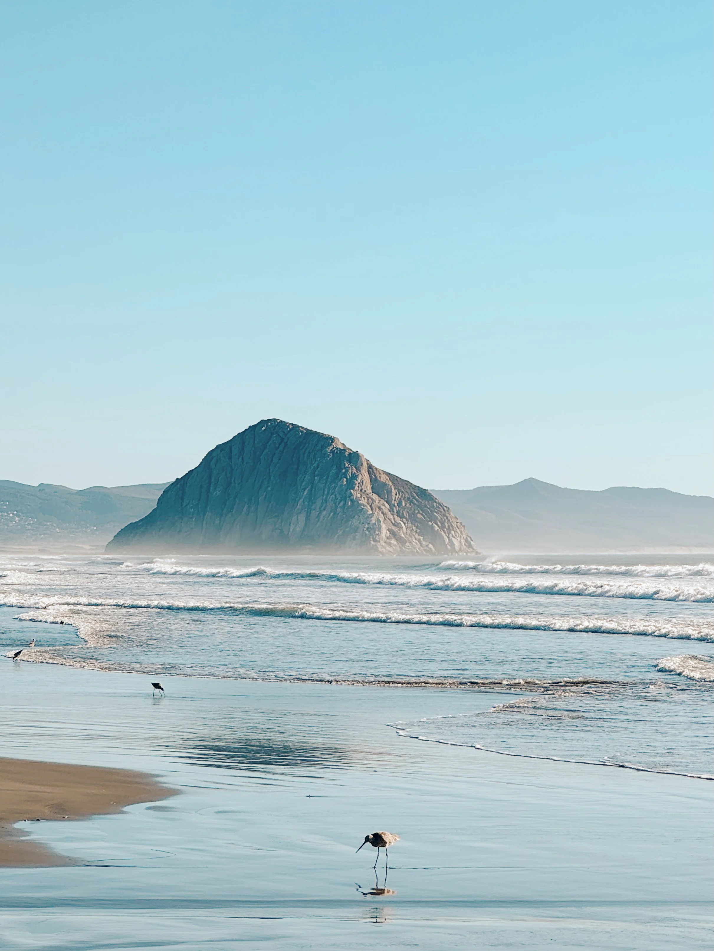 A coastal scene with a large rocky mountain in the background, ocean waves in the foreground, and a bird wading in the shallow water near the shore.