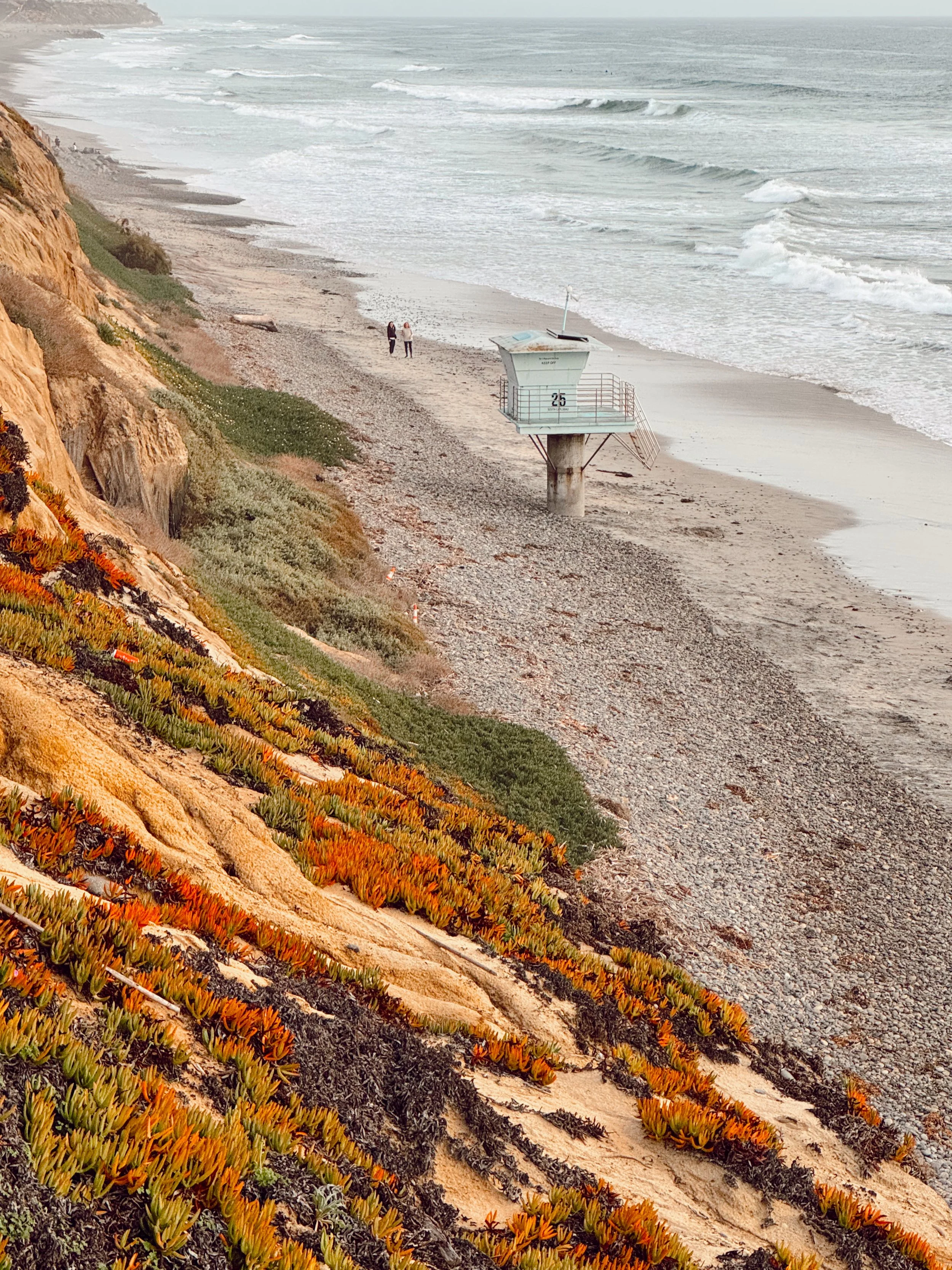 A view of a beach with orange and green plants on a sand dune in the foreground, a lifeguard tower with the number 25 on it, two people standing on the beach, and the ocean with small waves in the background.