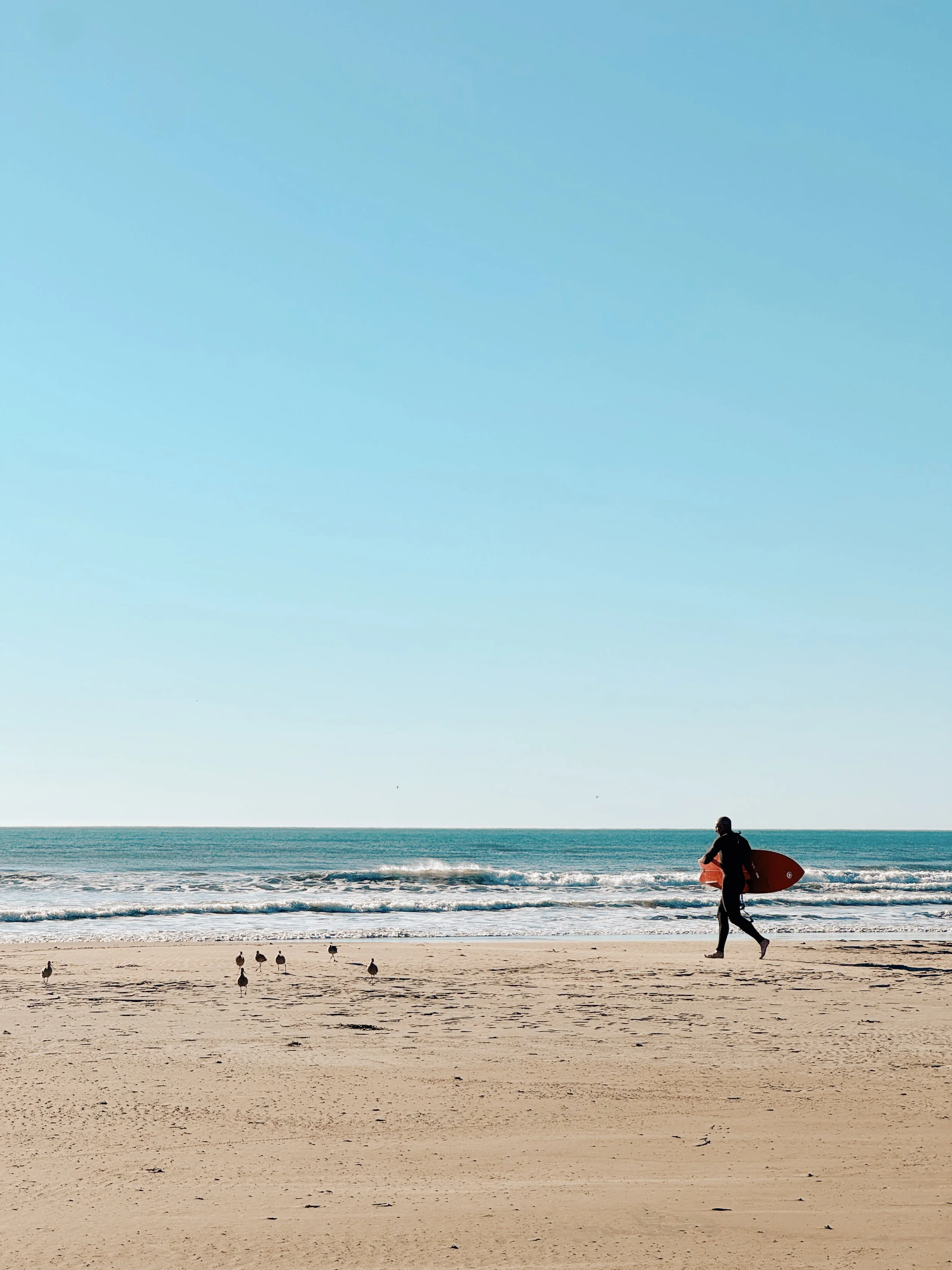 A person carrying a surfboard walks along the sandy beach near the ocean with seagulls on the sand, under a clear blue sky.