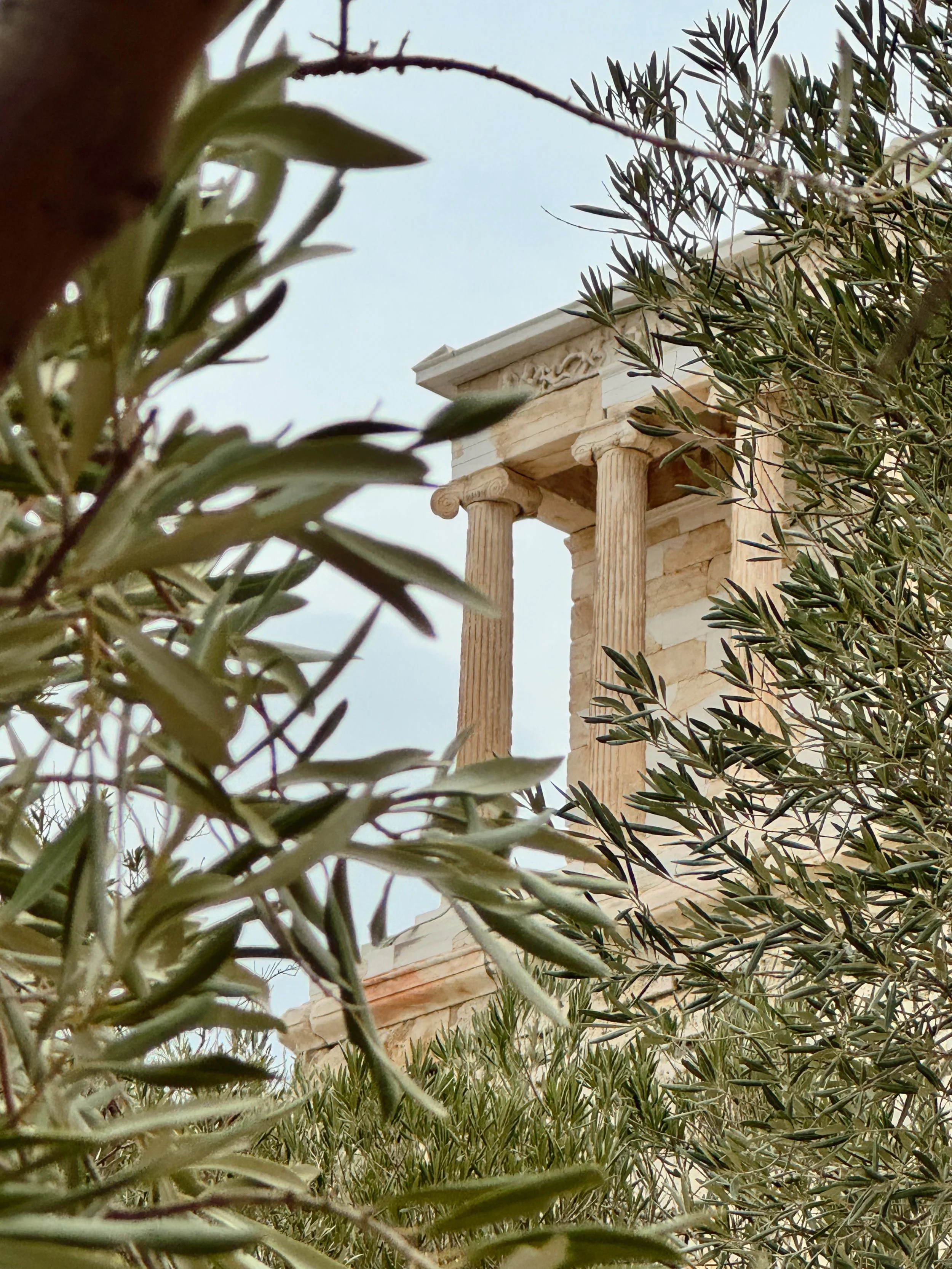 A stone structure with columns seen through the branches and leaves of trees and bushes.