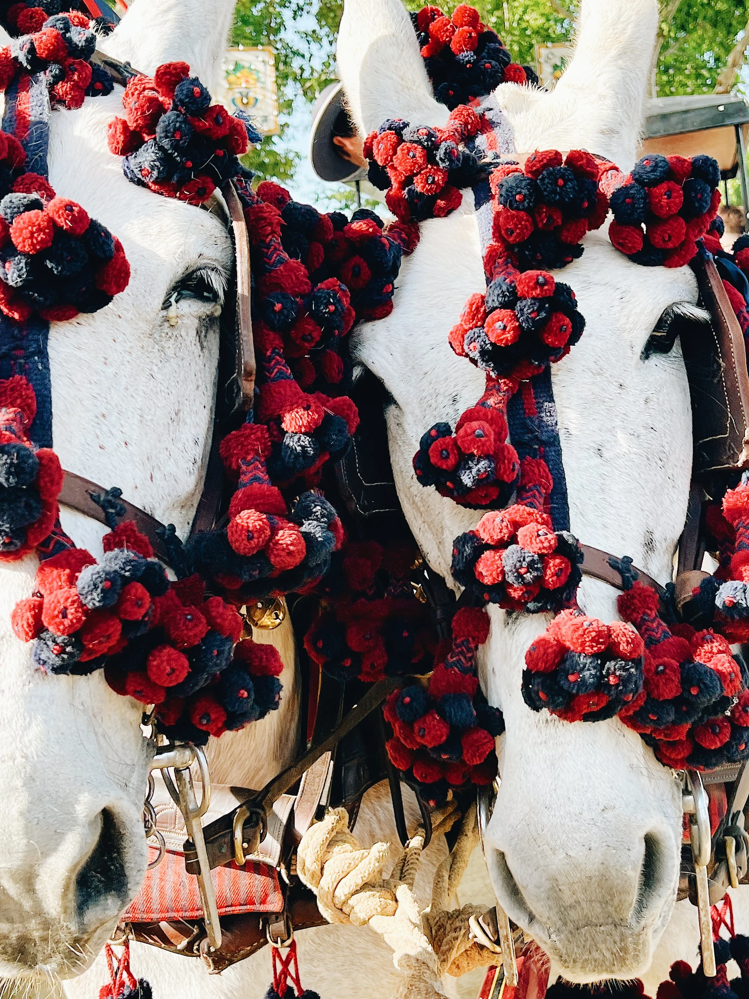 Close-up of two white horses decorated with red and black flower garlands, bridles, and harnesses, part of a parade or festival setting.