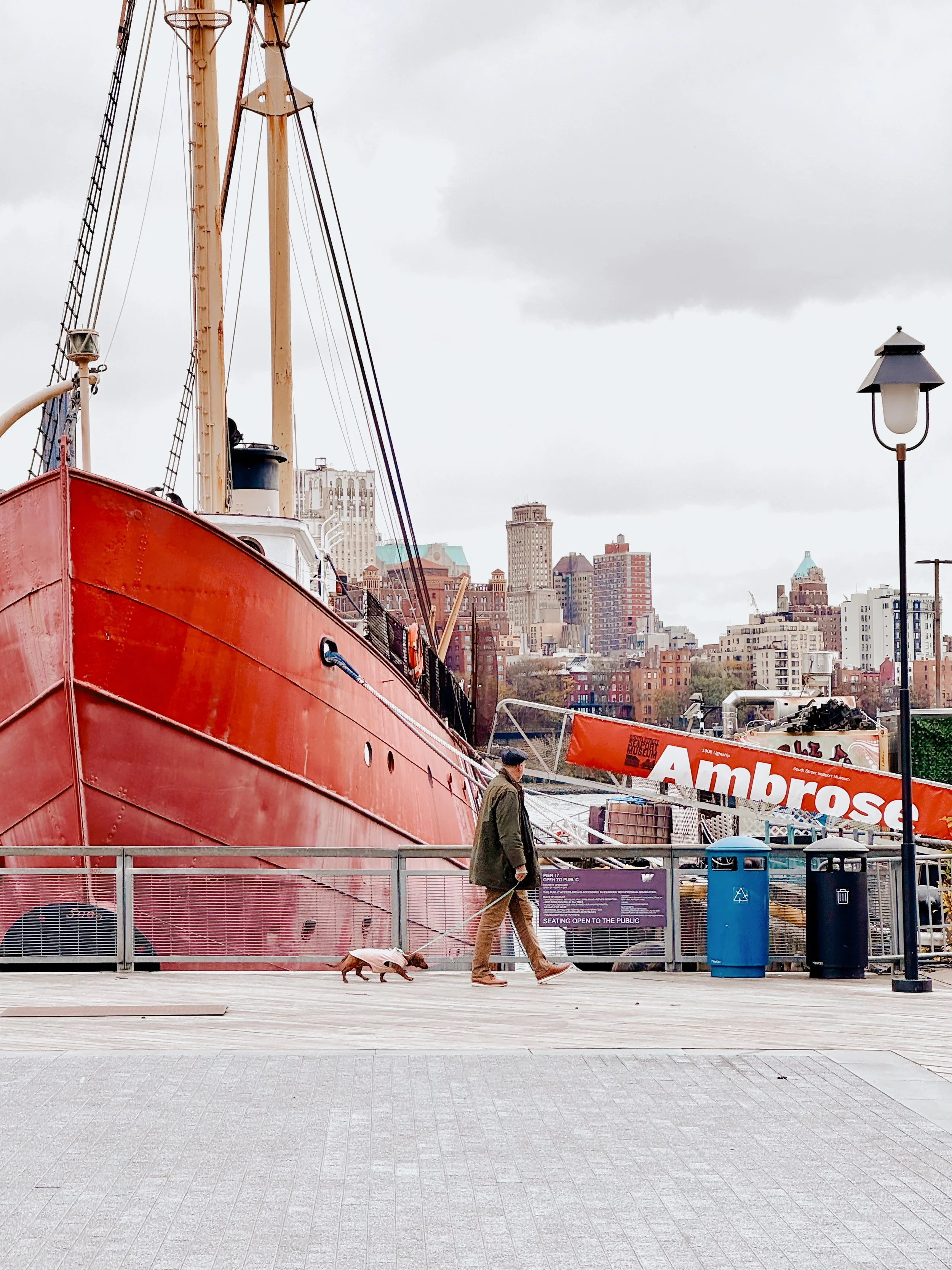A person walking a dog on a leash along a boardwalk near a large red ship docked at a harbor, with city buildings in the background and a cloudy sky overhead.