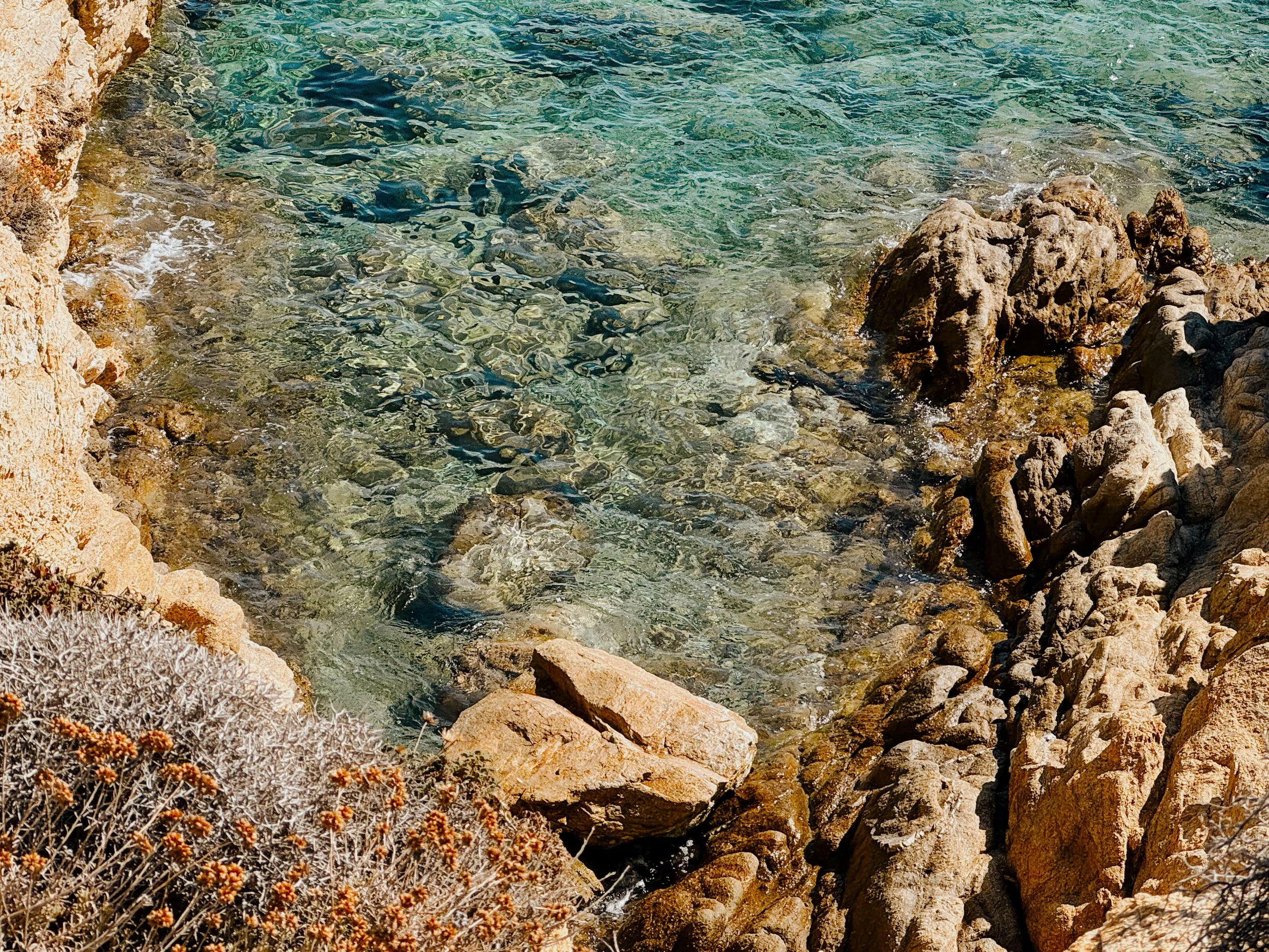 Clear ocean water with rocks and coral on the shoreline.